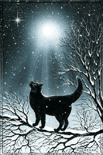 Black cat looks at the moon