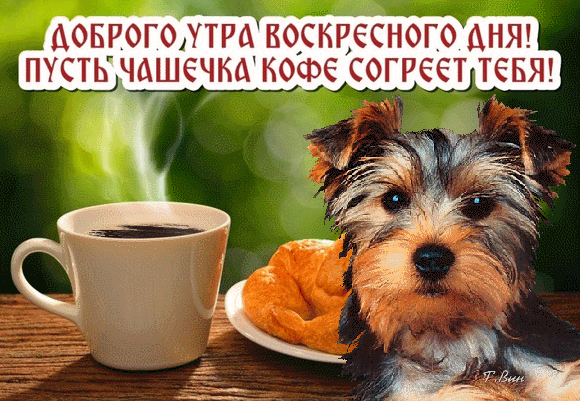 Доброе утро, воскресного дня