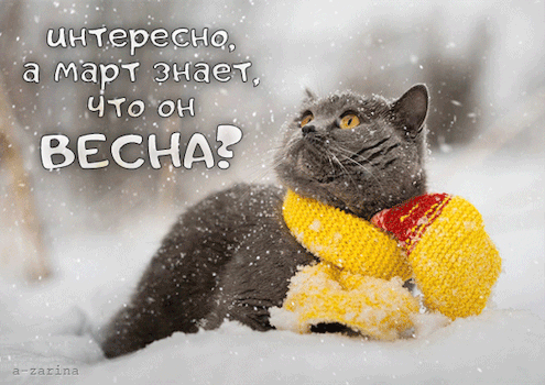 Интересно март знает что у него весна, открытка