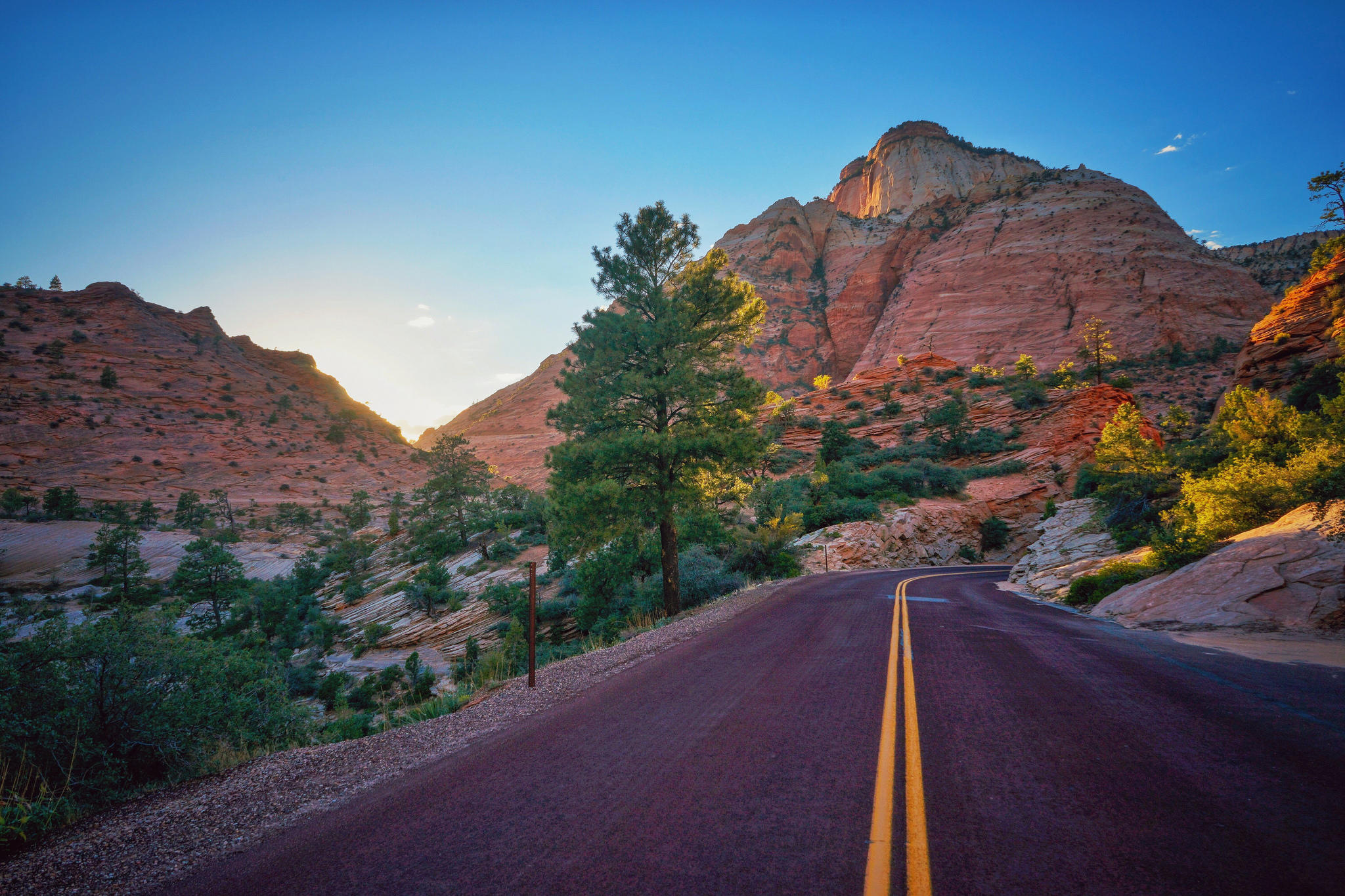 Wallpapers road landscape Zion National Park on the desktop