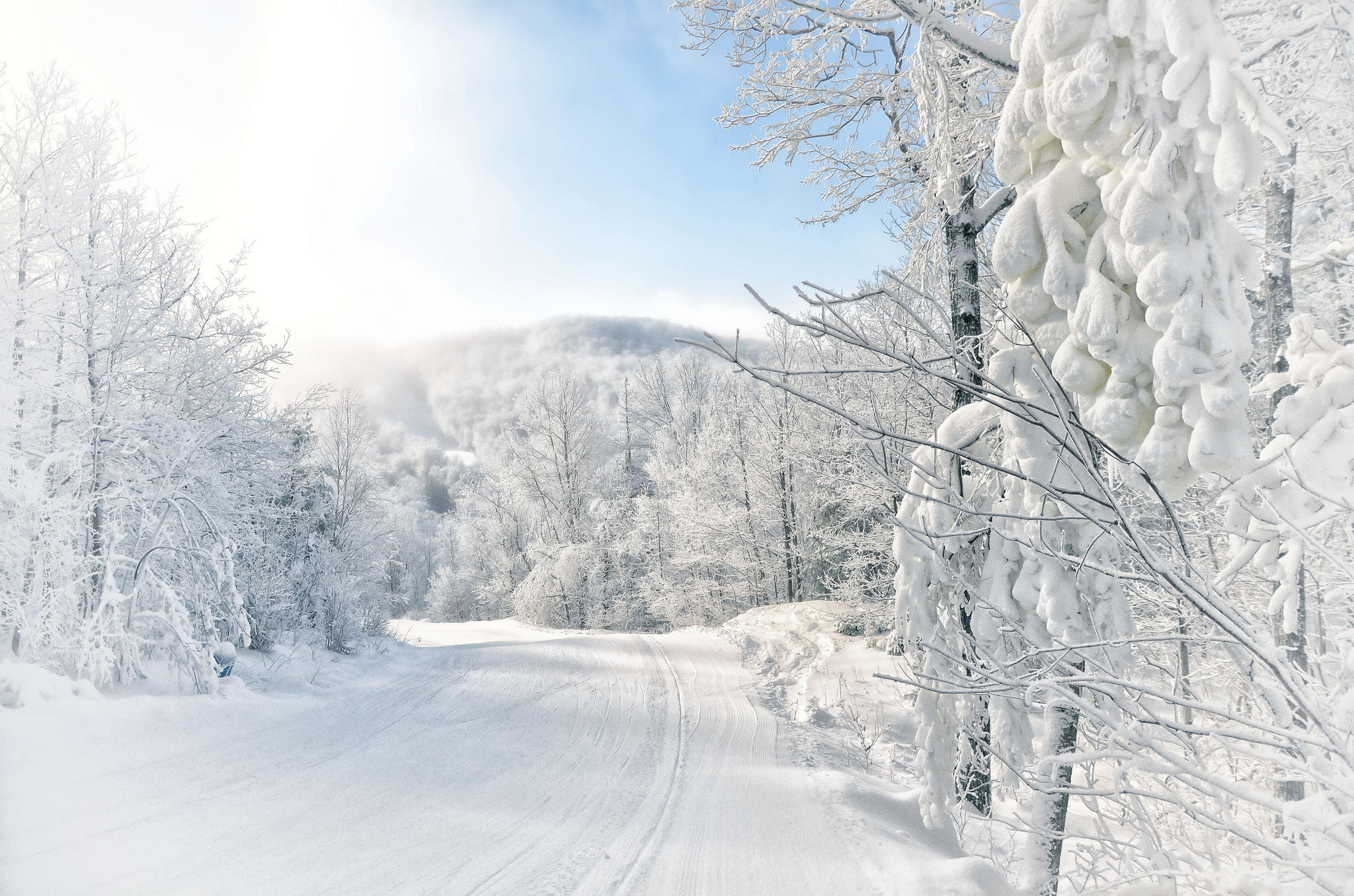 Wallpapers landscapes forest winter road on the desktop