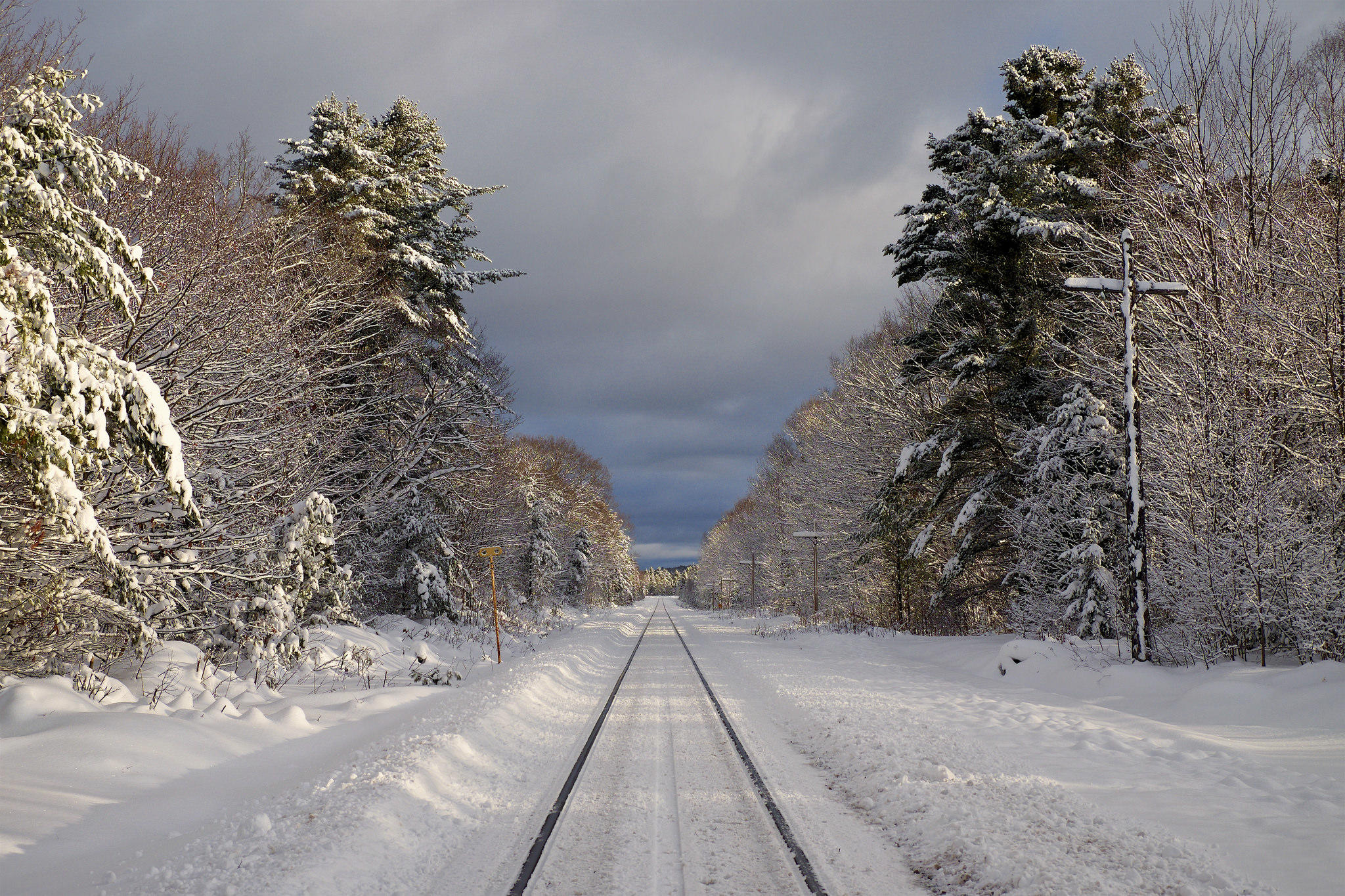 Wallpapers forest railway winter on the desktop