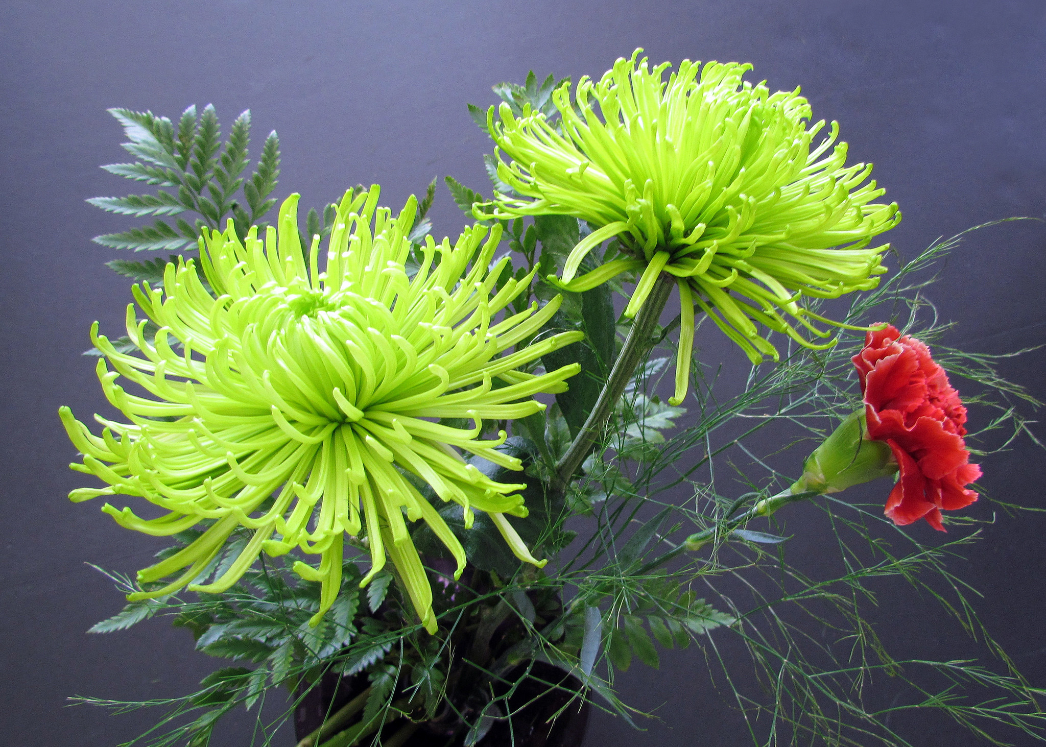 Wallpapers Dahlias flowers bouquet on the desktop