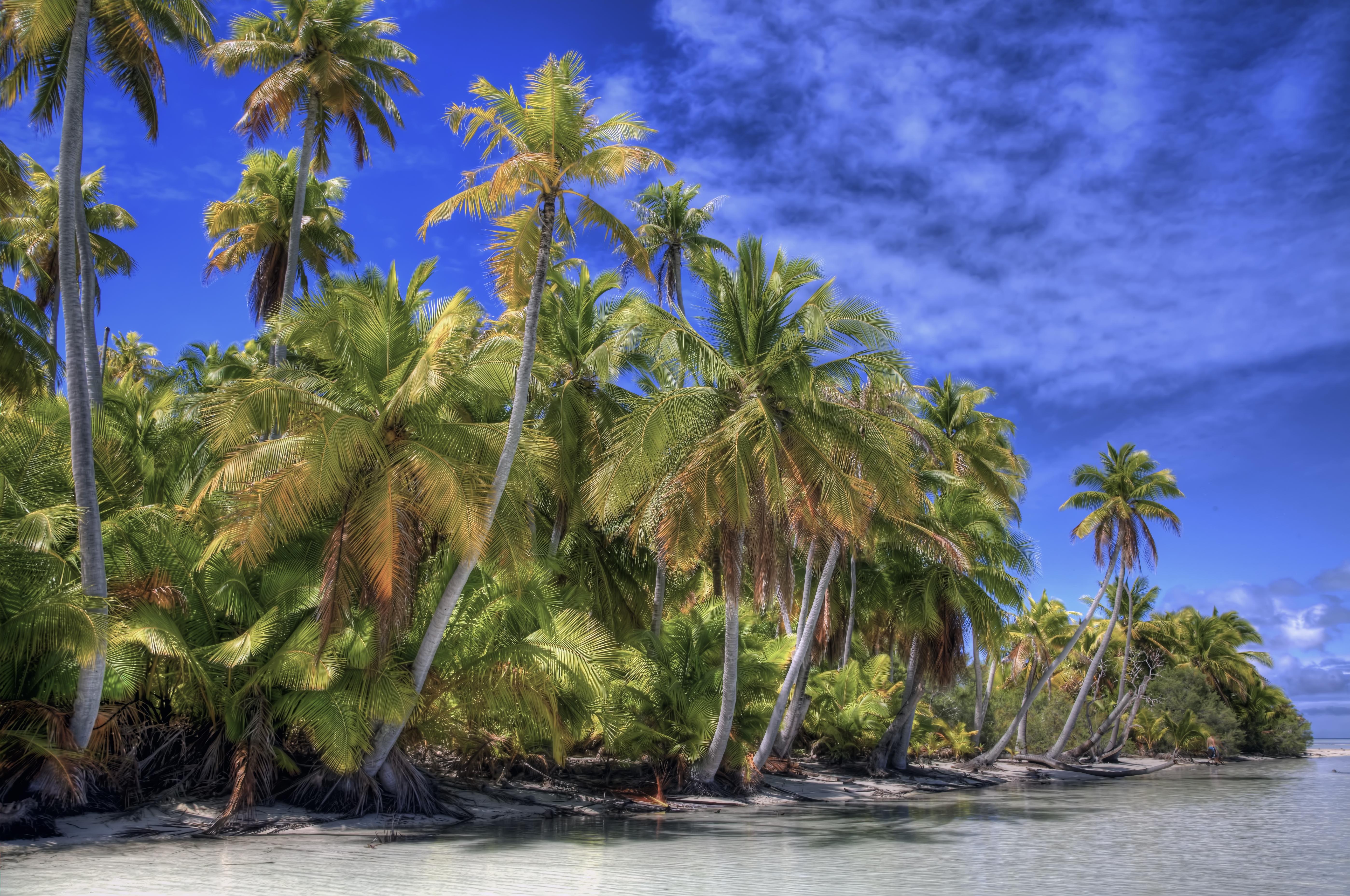 Wallpapers French Polynesia Pacific Ocean island on the desktop