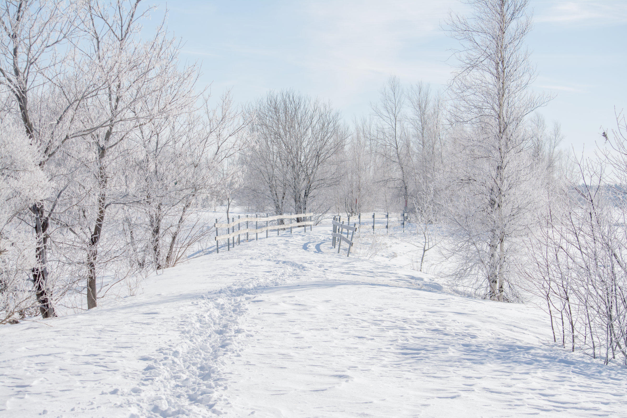 免费照片壁纸 雪，路径上的手机高品质