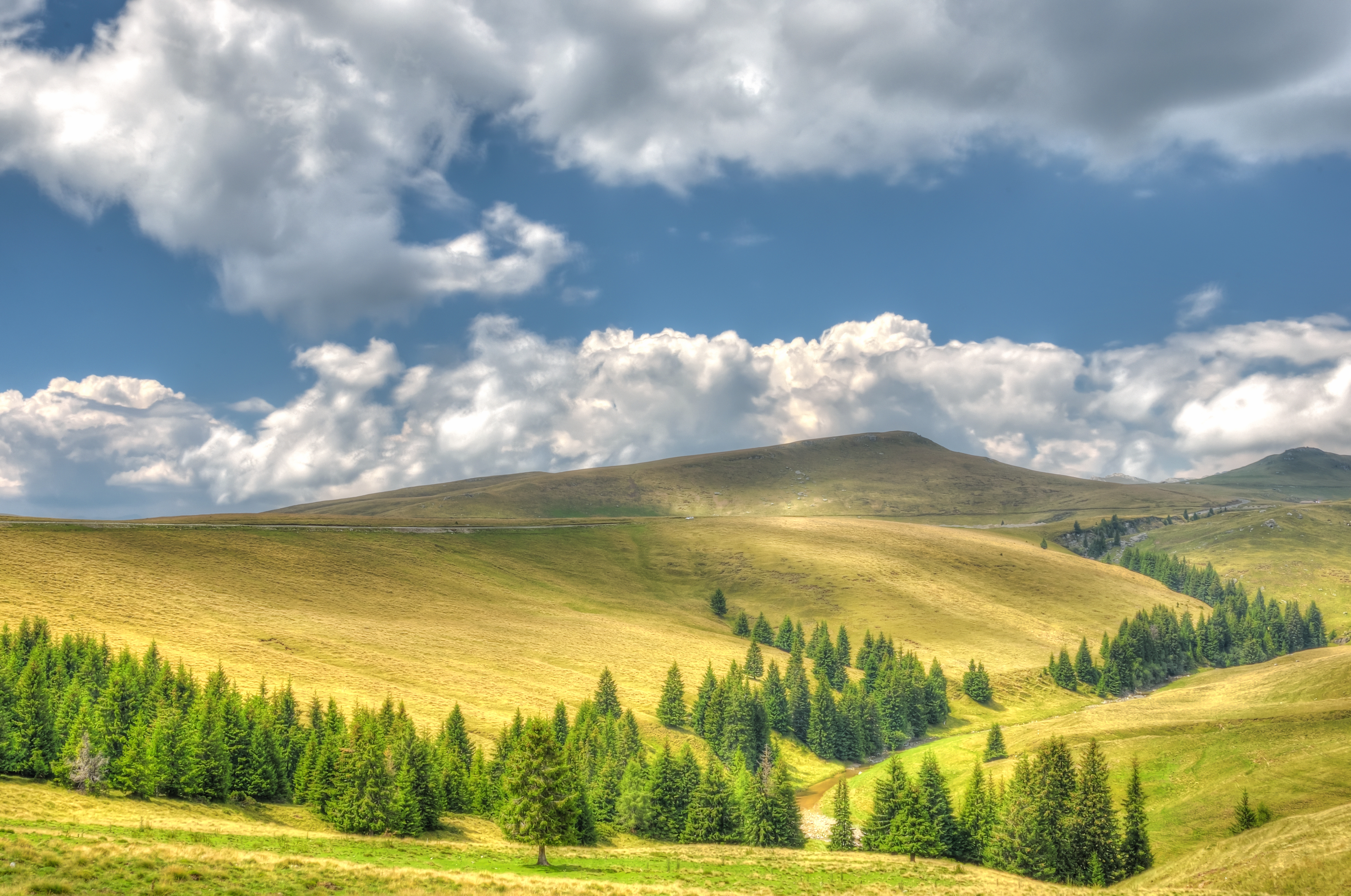Wallpapers Carpathian Landscape Hills Trees on the desktop