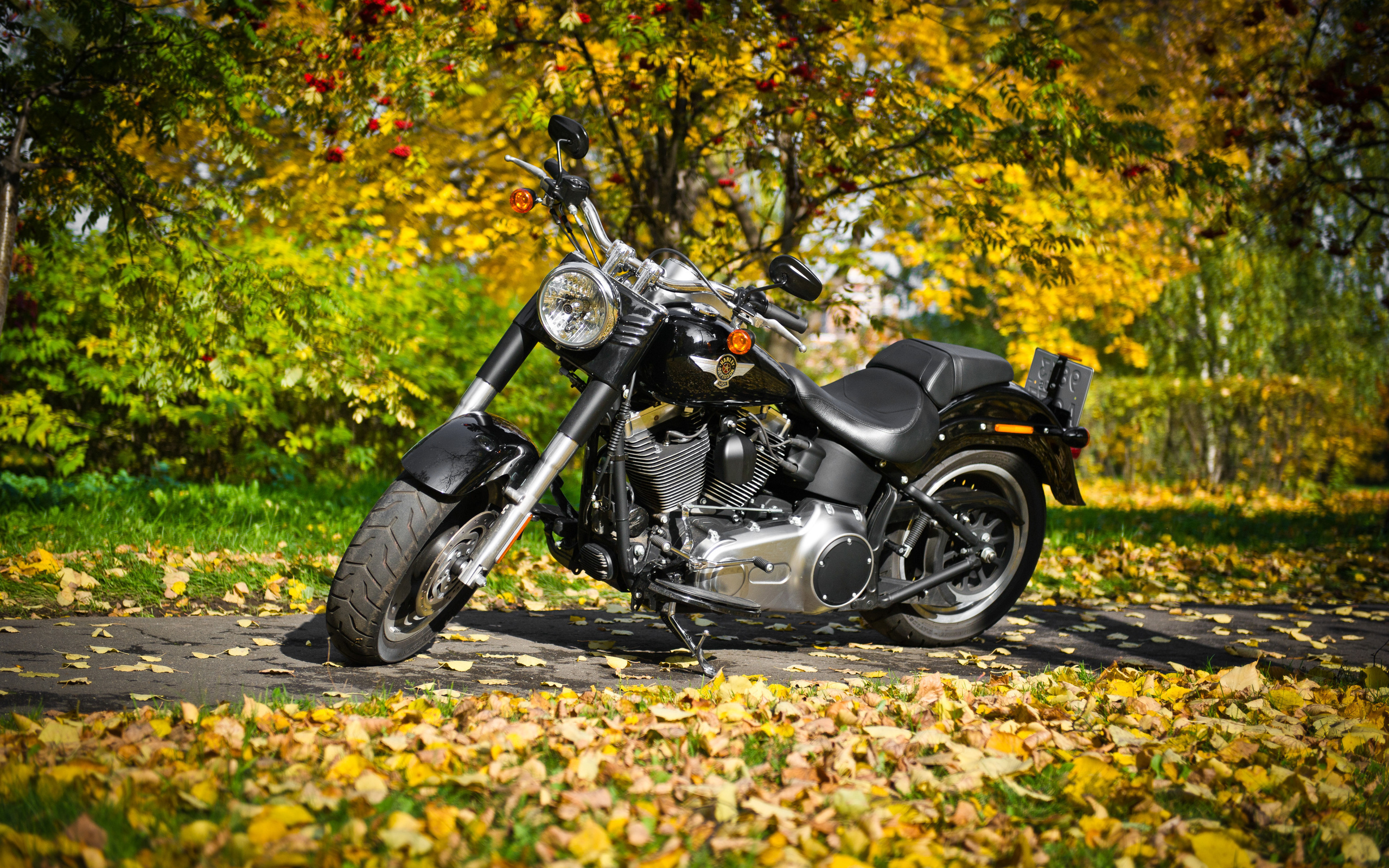 Wallpapers harley-davidson black color motorcycle on the desktop