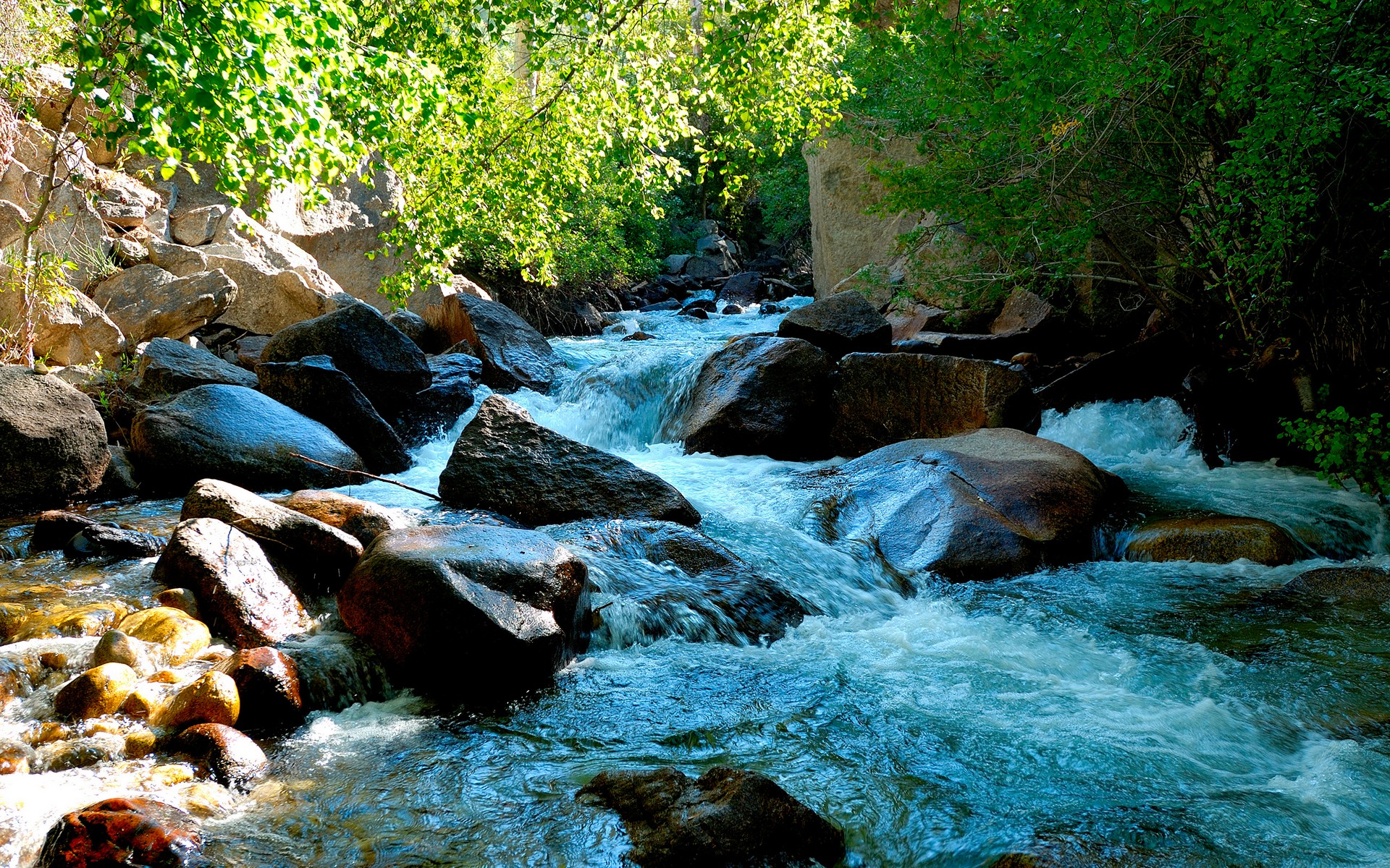 Wallpapers grass water river on the desktop