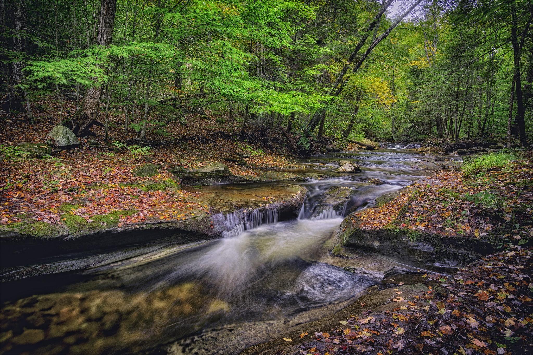 Wallpapers Pennsylvania waterfall trees on the desktop