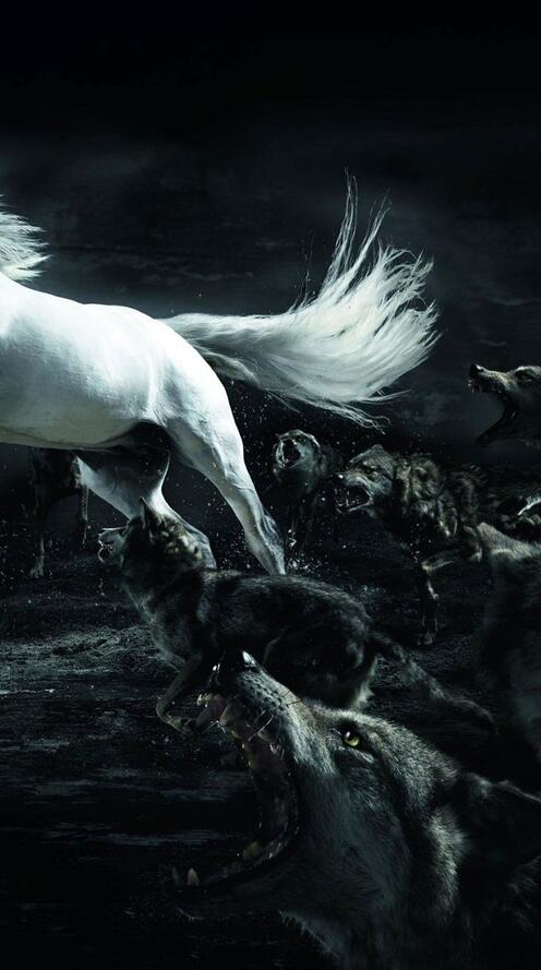 Обои обои конь белый на рабочий стол