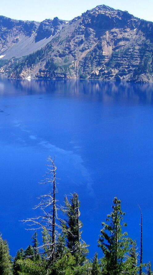 Banff National Park Foggy forest, Forest pictures, Joffre lake