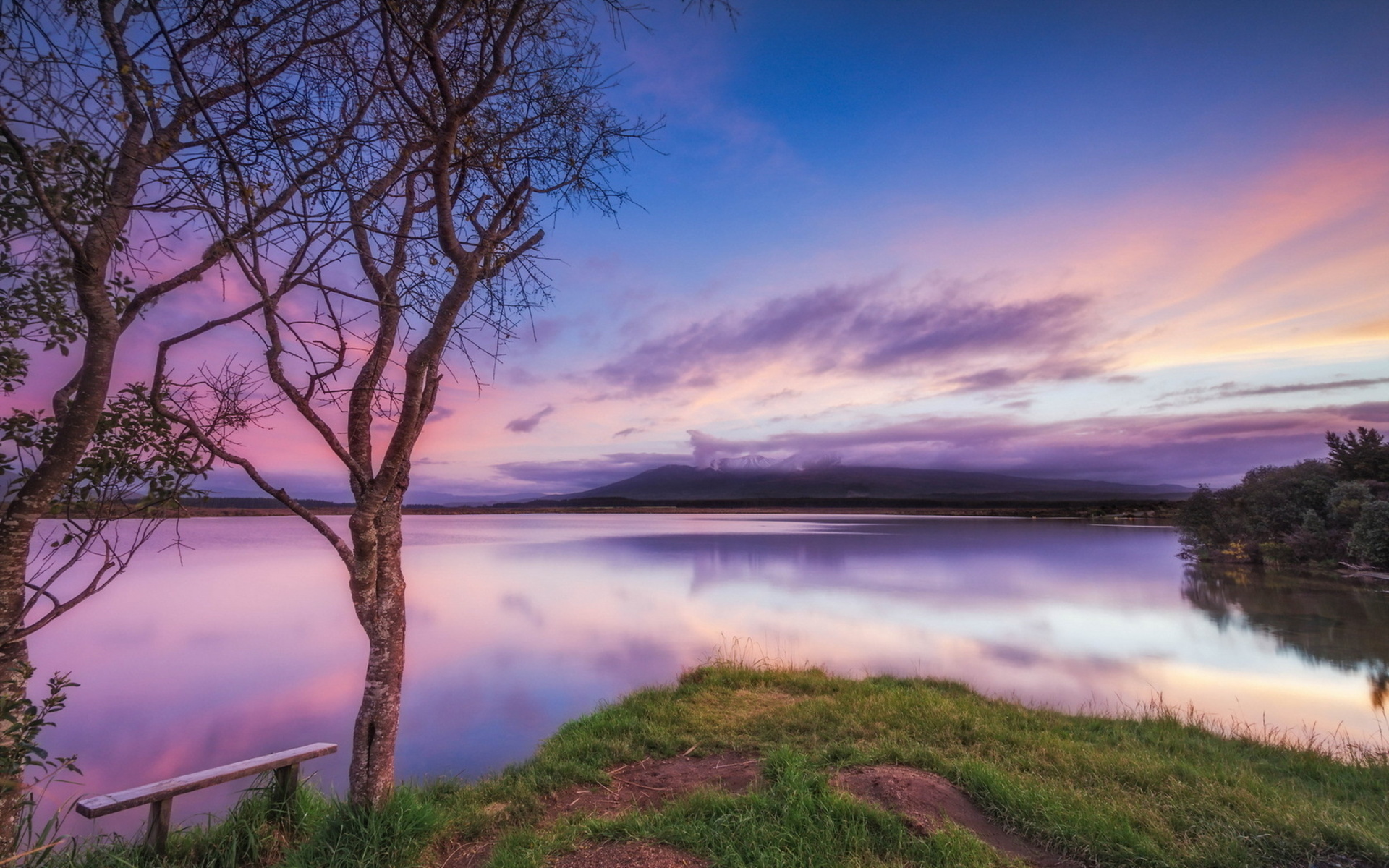 Free photo A delicate purple sunset on the lake