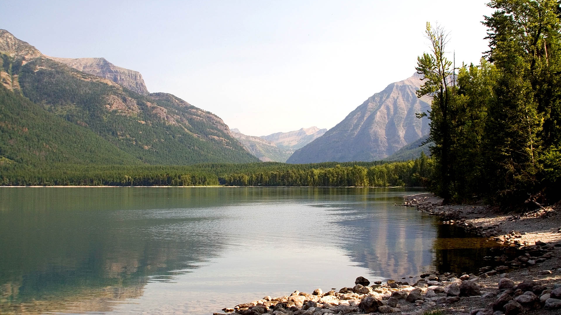 Free photo Screensaver water, forest, trees