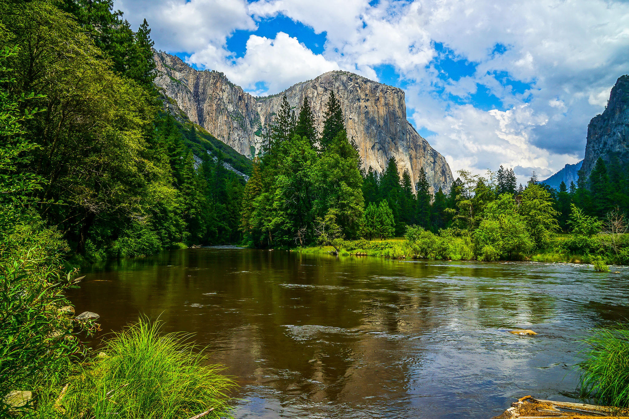 Wallpapers forest California river on the desktop