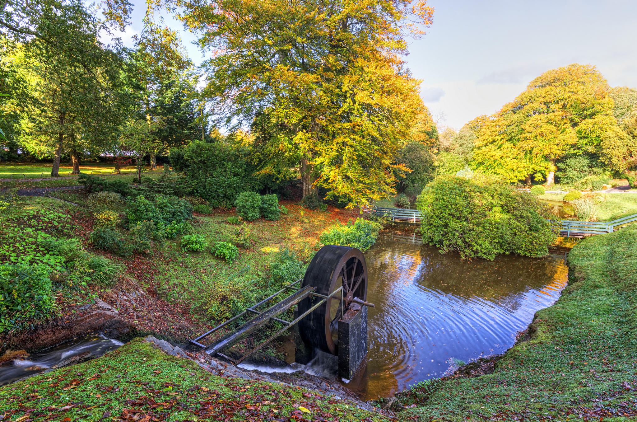 Wallpapers trees stream wheel from the mill on the desktop