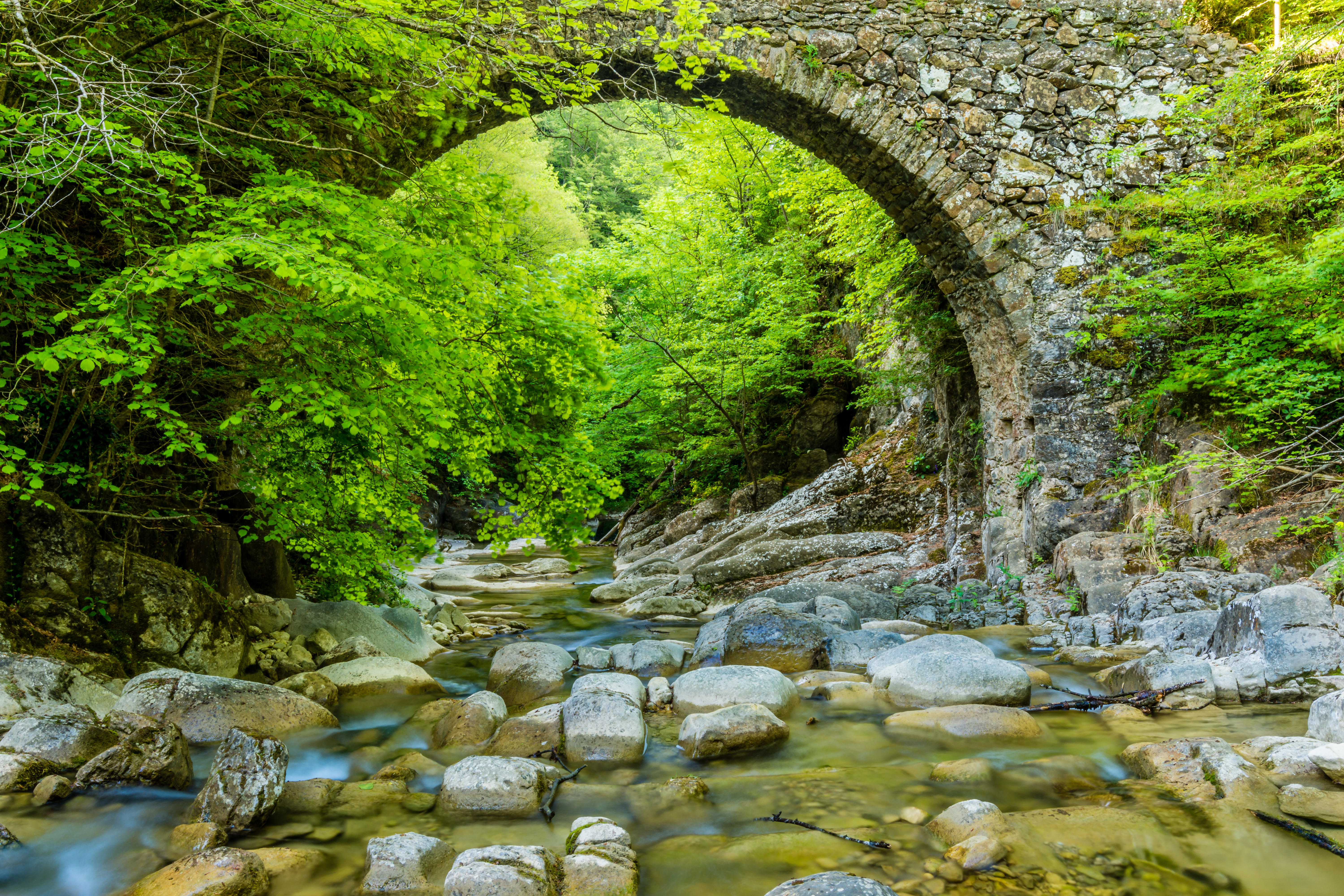 Wallpapers river trees arch on the desktop