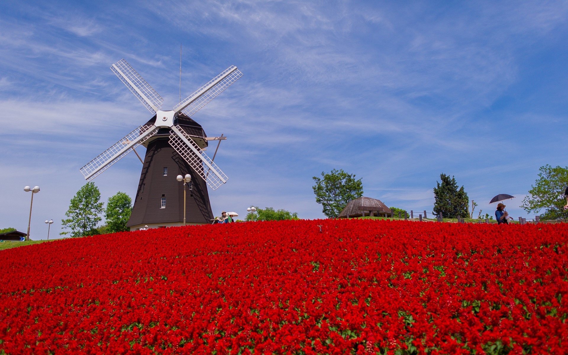 Wallpapers windmill mill trees on the desktop