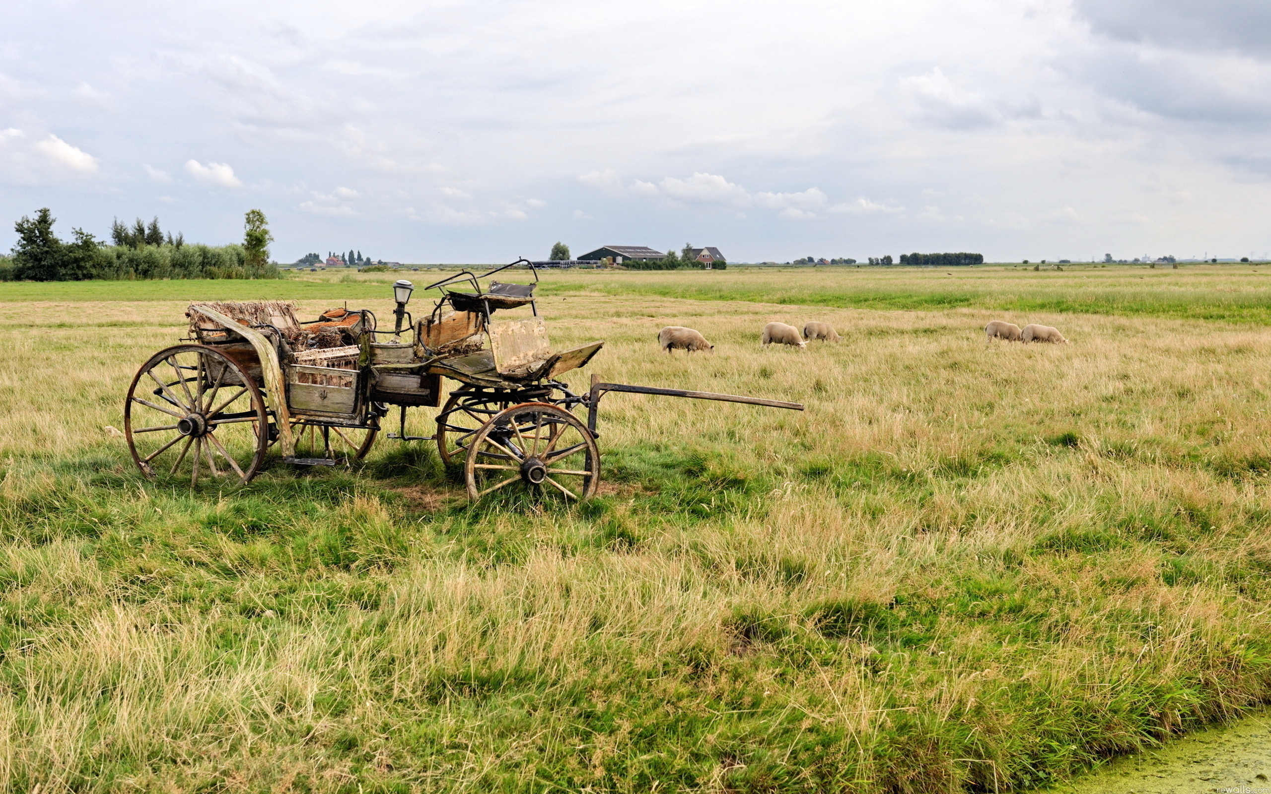 Wallpapers field pasture coach on the desktop