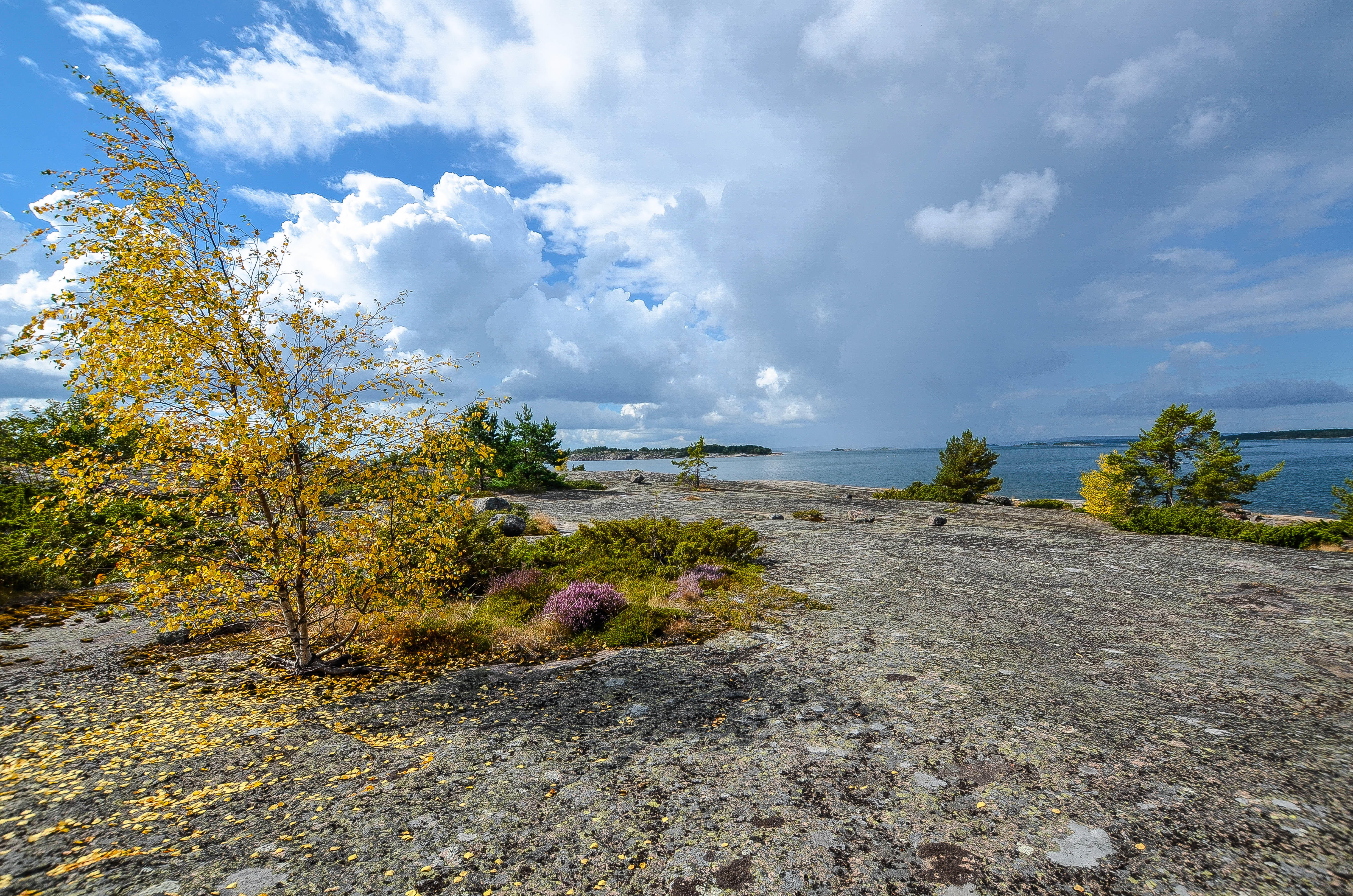 Wallpapers Alandy Isla Island autumn on the desktop