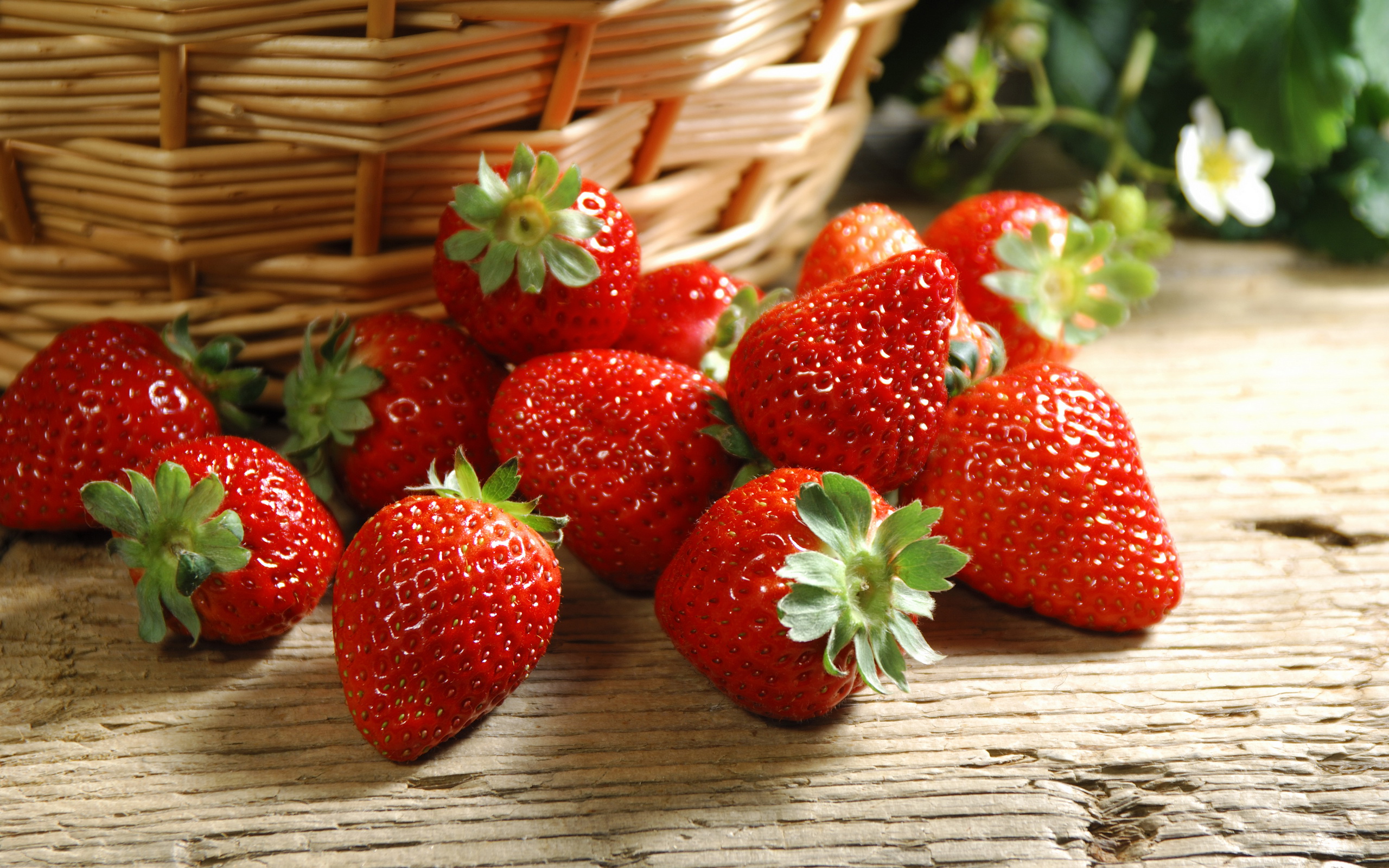桌面上的壁纸草莓 莓果 甜味