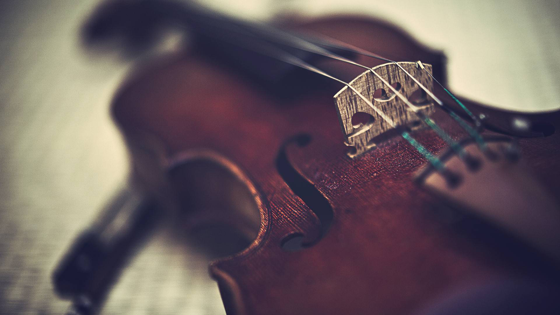 Wallpapers violin instrument strings on the desktop