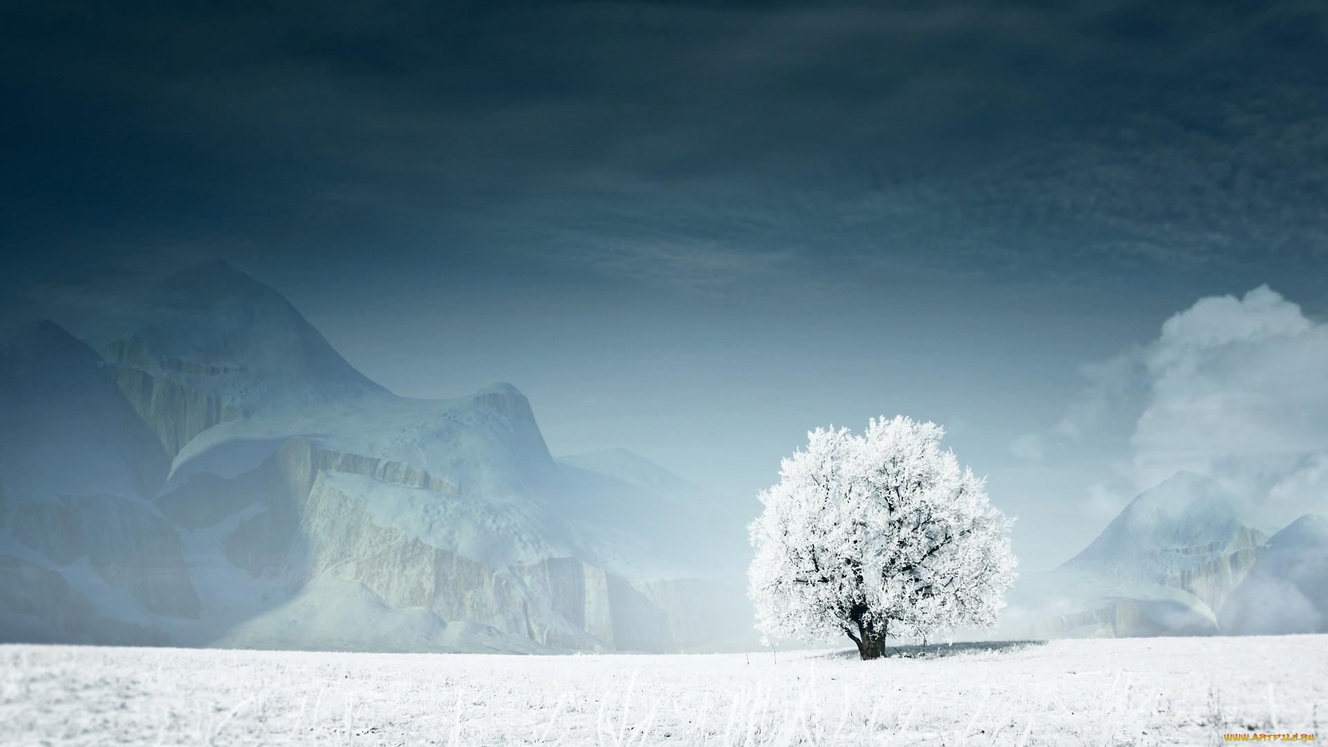 Wallpapers mountains tree snow on the desktop