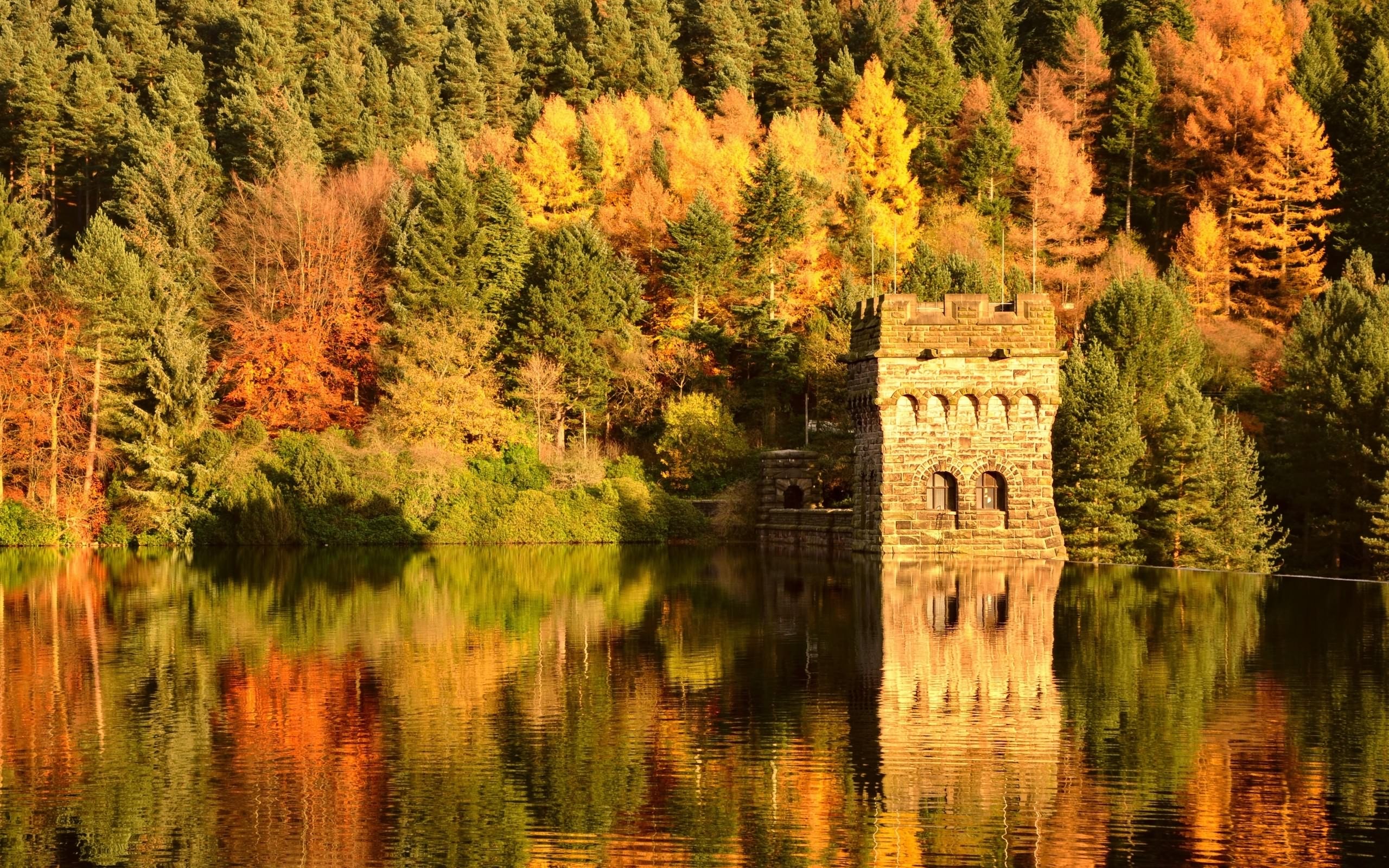 Wallpapers lake reflection forest on the desktop