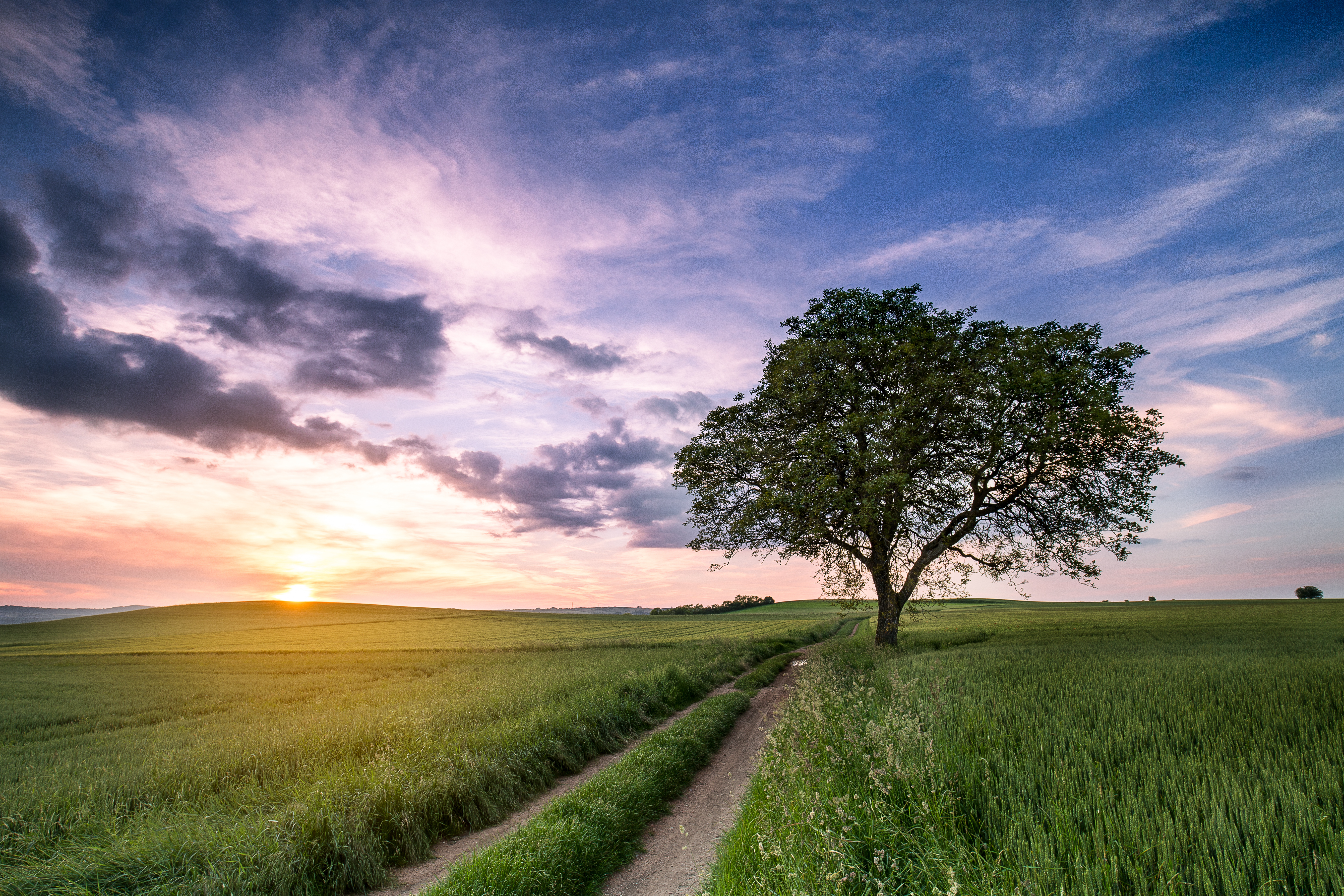 Wallpapers landscape dirt road evening on the desktop