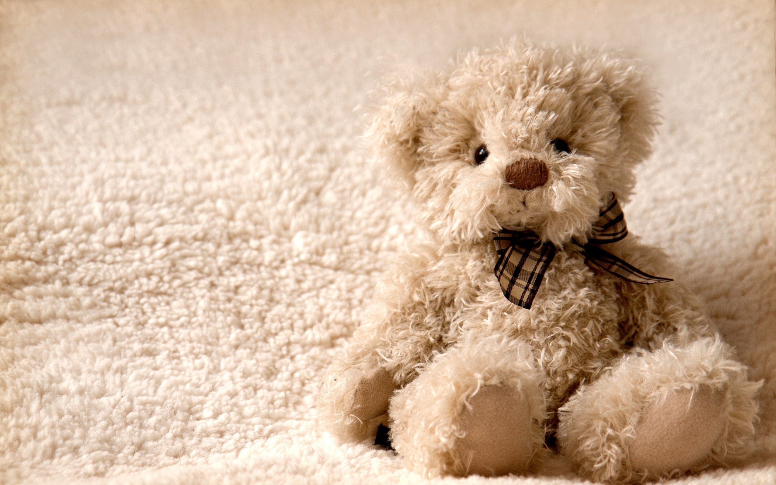 Wallpapers Teddy bear toy on the desktop