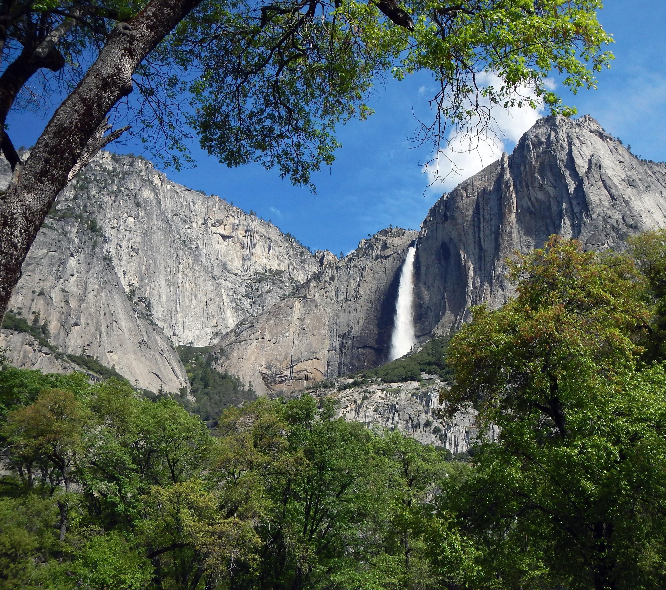 Обои yosemite national park йосемити национальный на рабочий стол