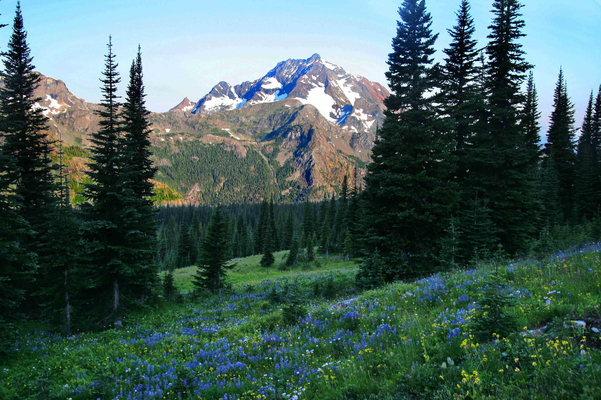 Wallpapers landscape field mountains on the desktop