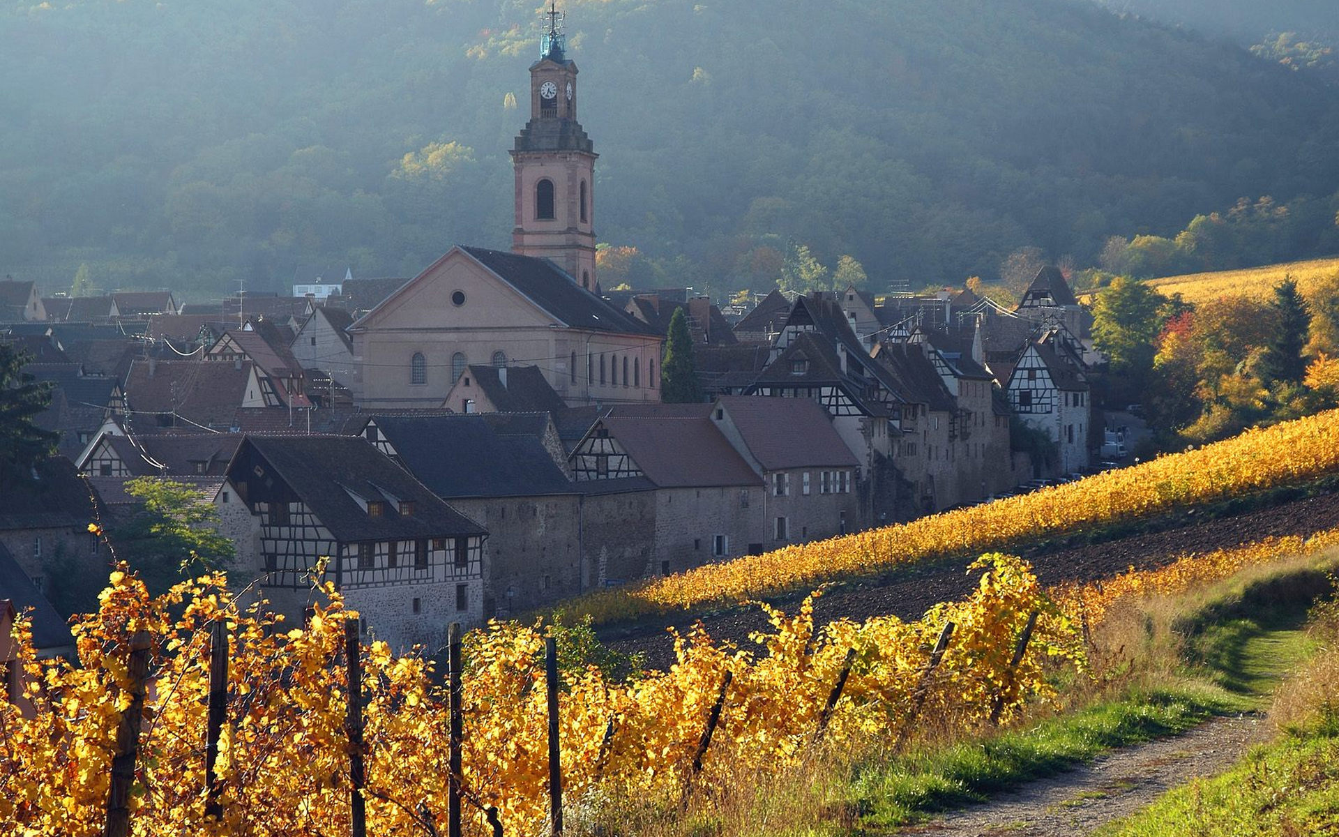 Wallpapers vineyards houses buildings on the desktop