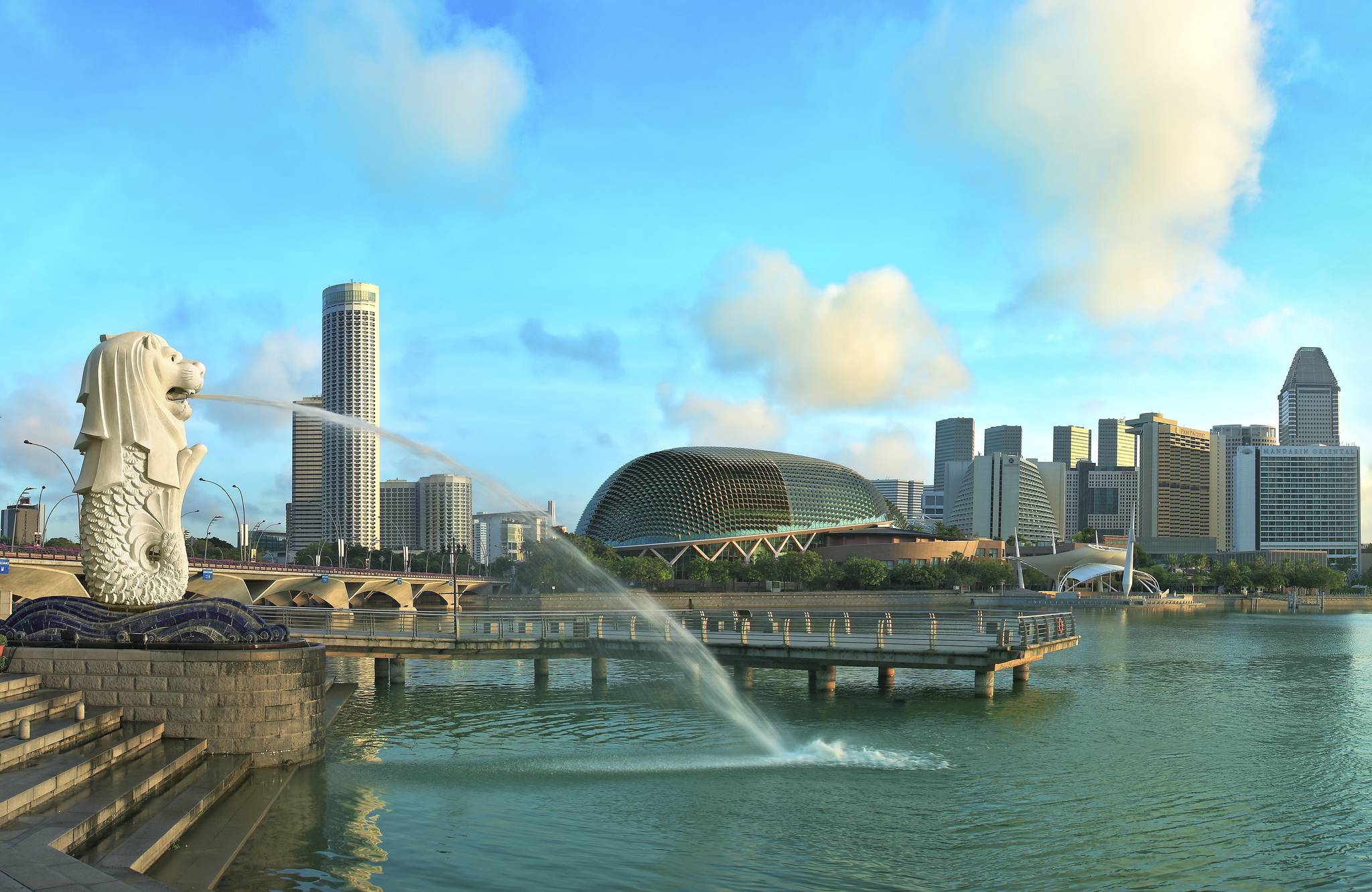 Wallpapers city buildings Singapore on the desktop