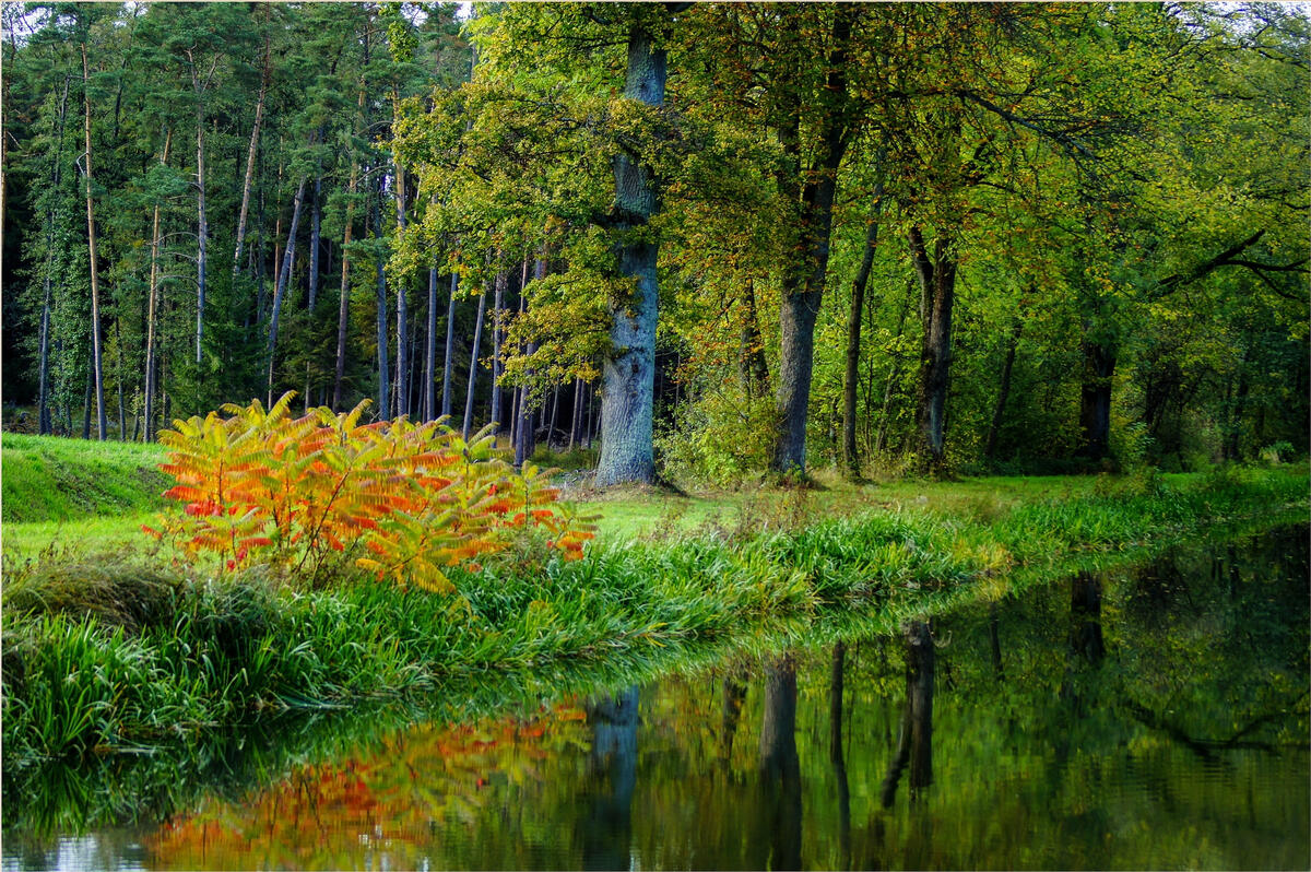 осень дорога посадка HD обои для ноутбука Autumn landscape, Computer wallpaper d