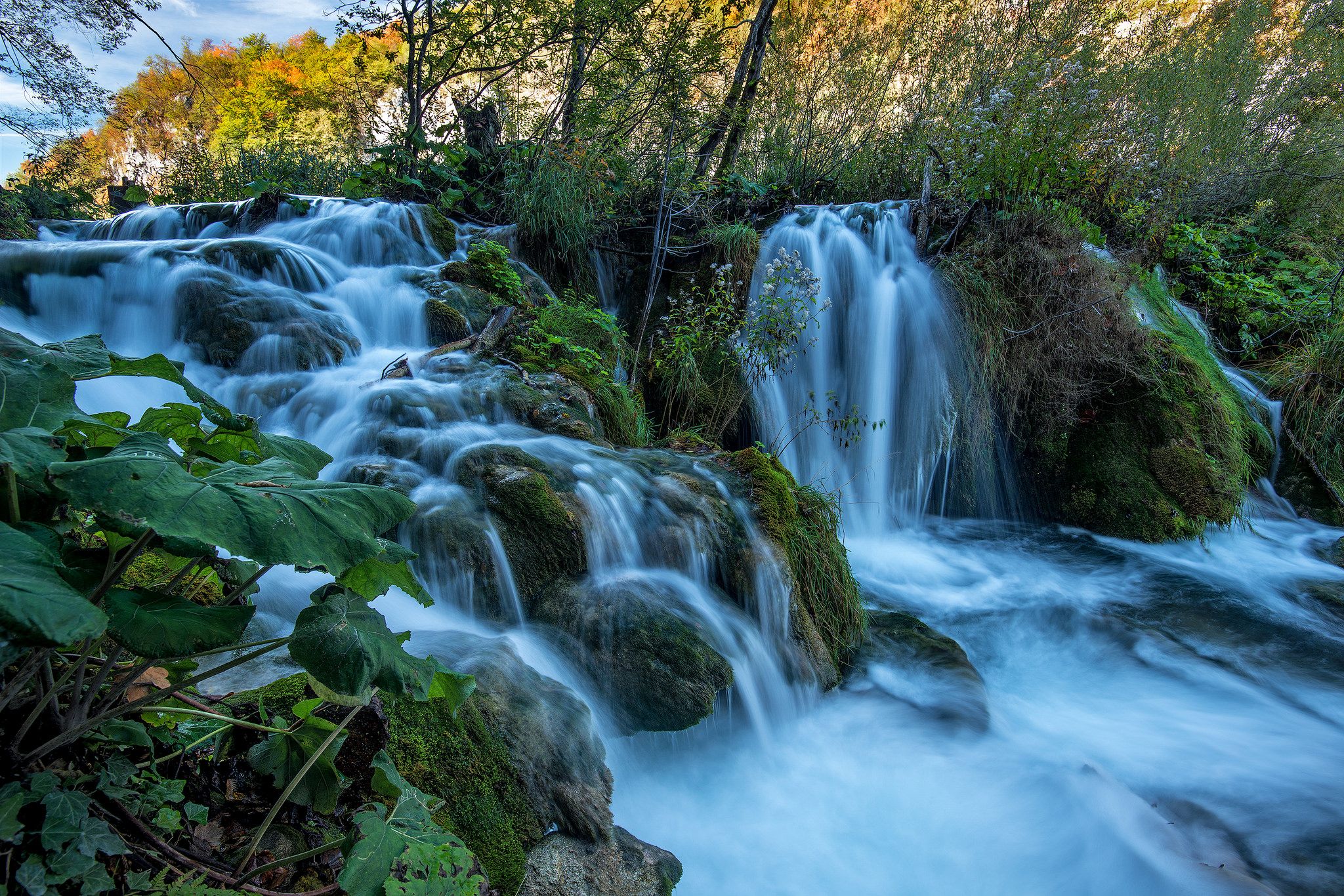 Бесплатное фото Скачать картинку национальный парк плитвицкие озера, хорватия для рабочего стола бесплатно