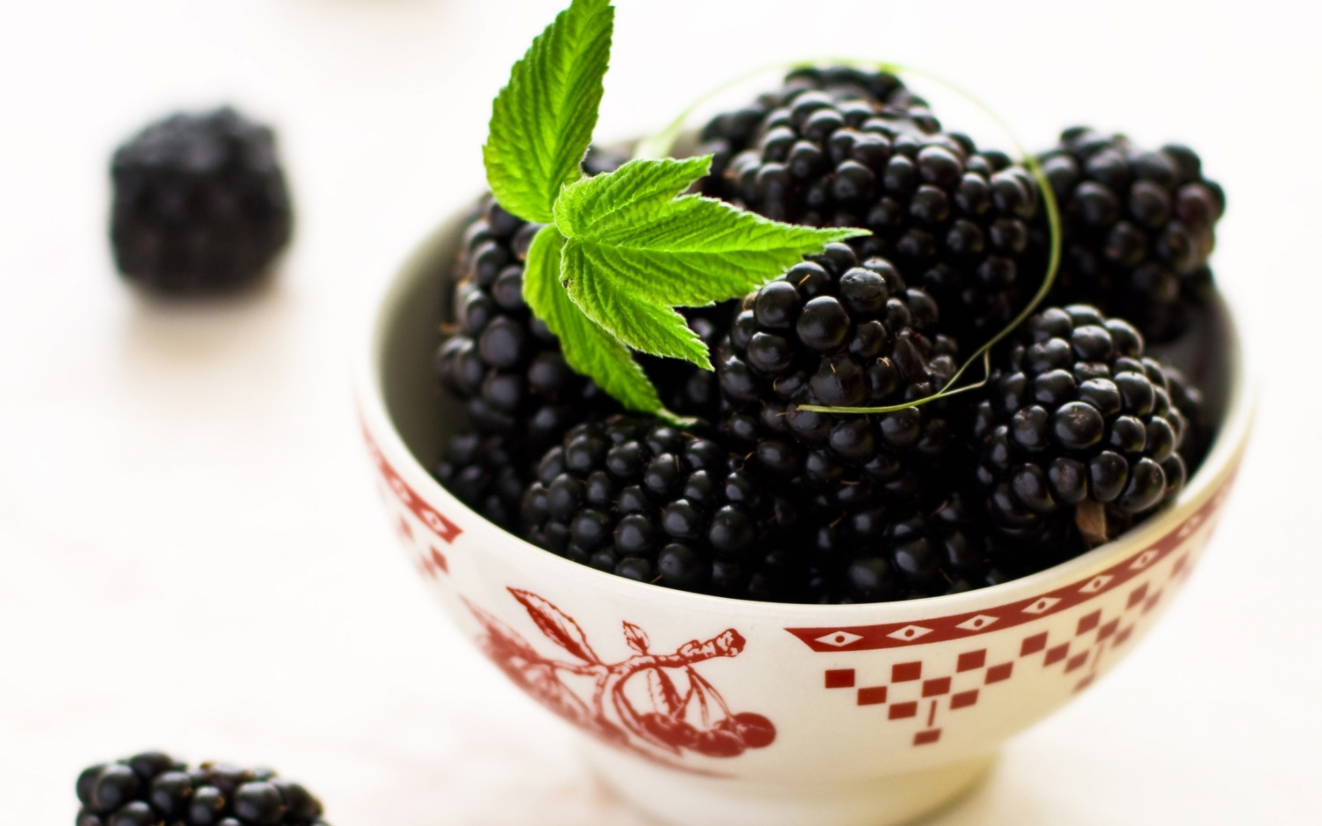 桌面上的壁纸黑莓 浆果 夏季