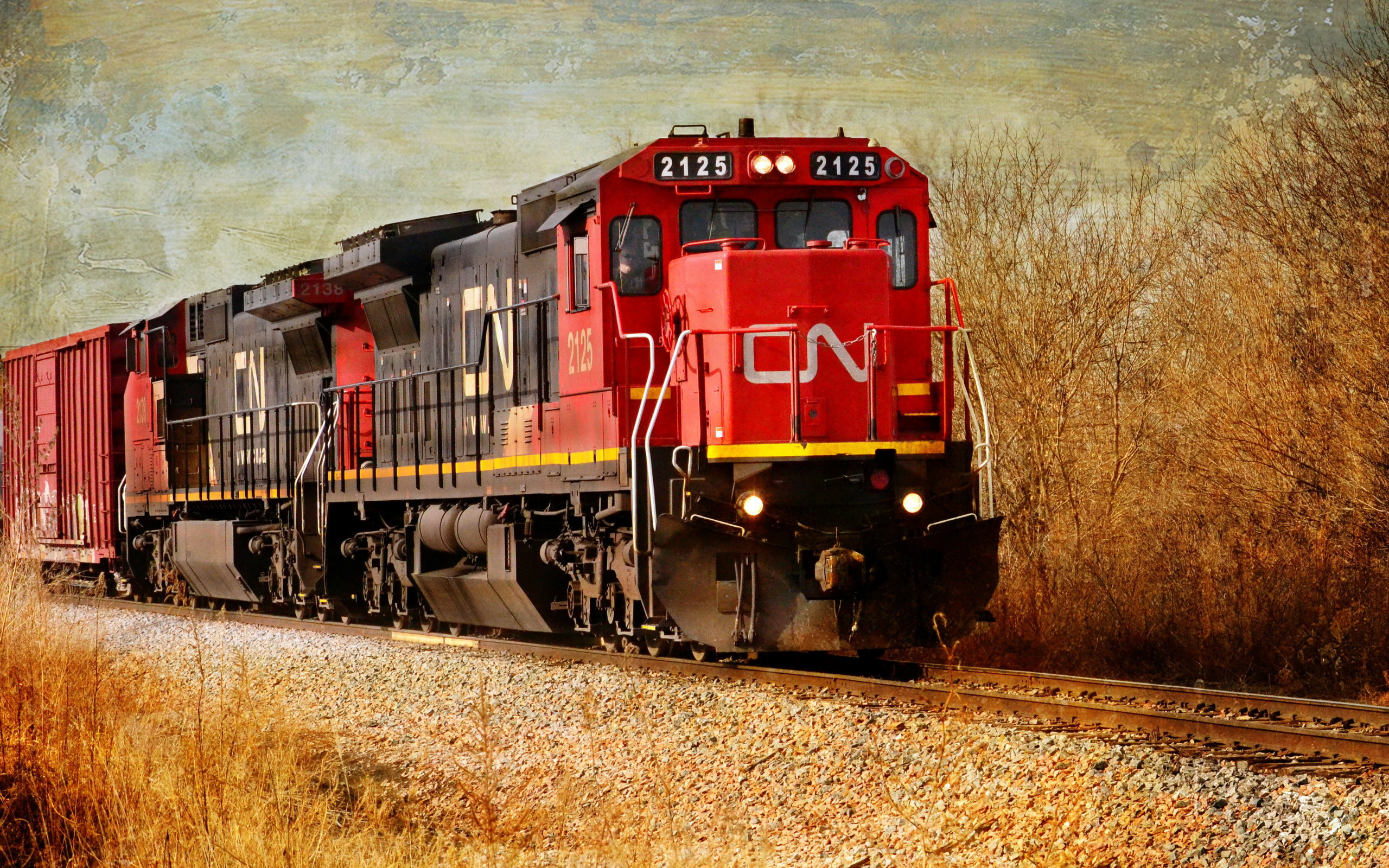 Wallpapers train 2125 red on the desktop