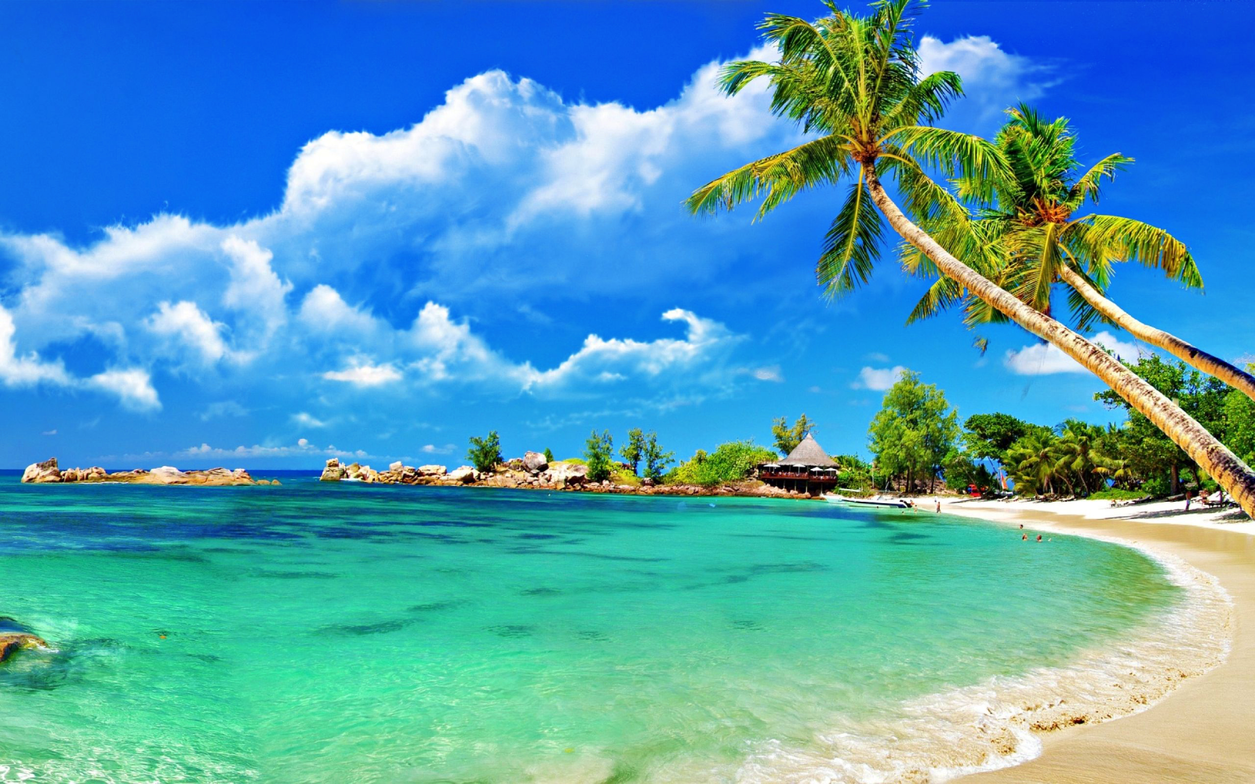 Wallpapers beach landscapes clear water on the desktop