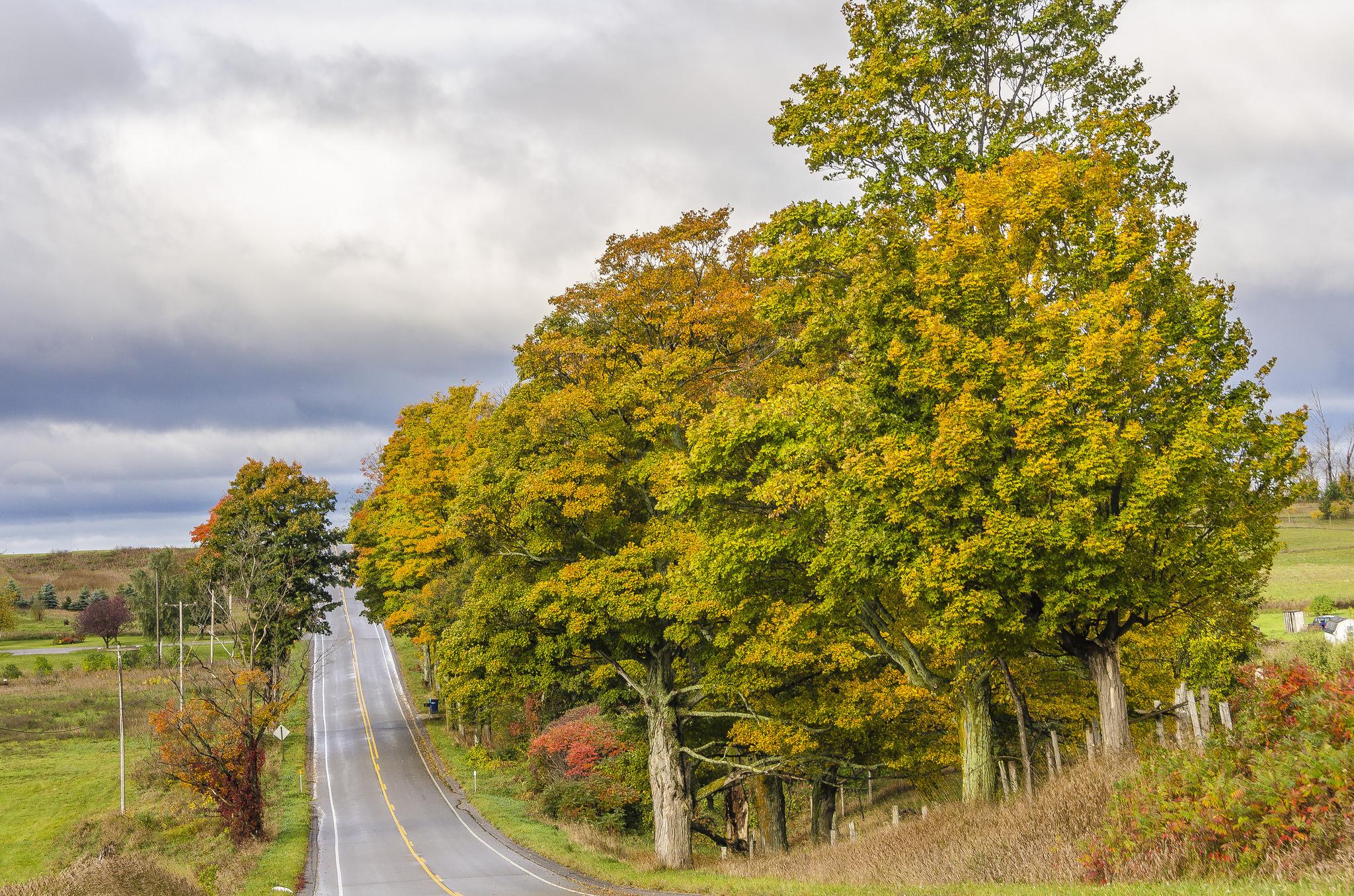 Wallpapers Leelanau Peninsula Michigan autumn on the desktop