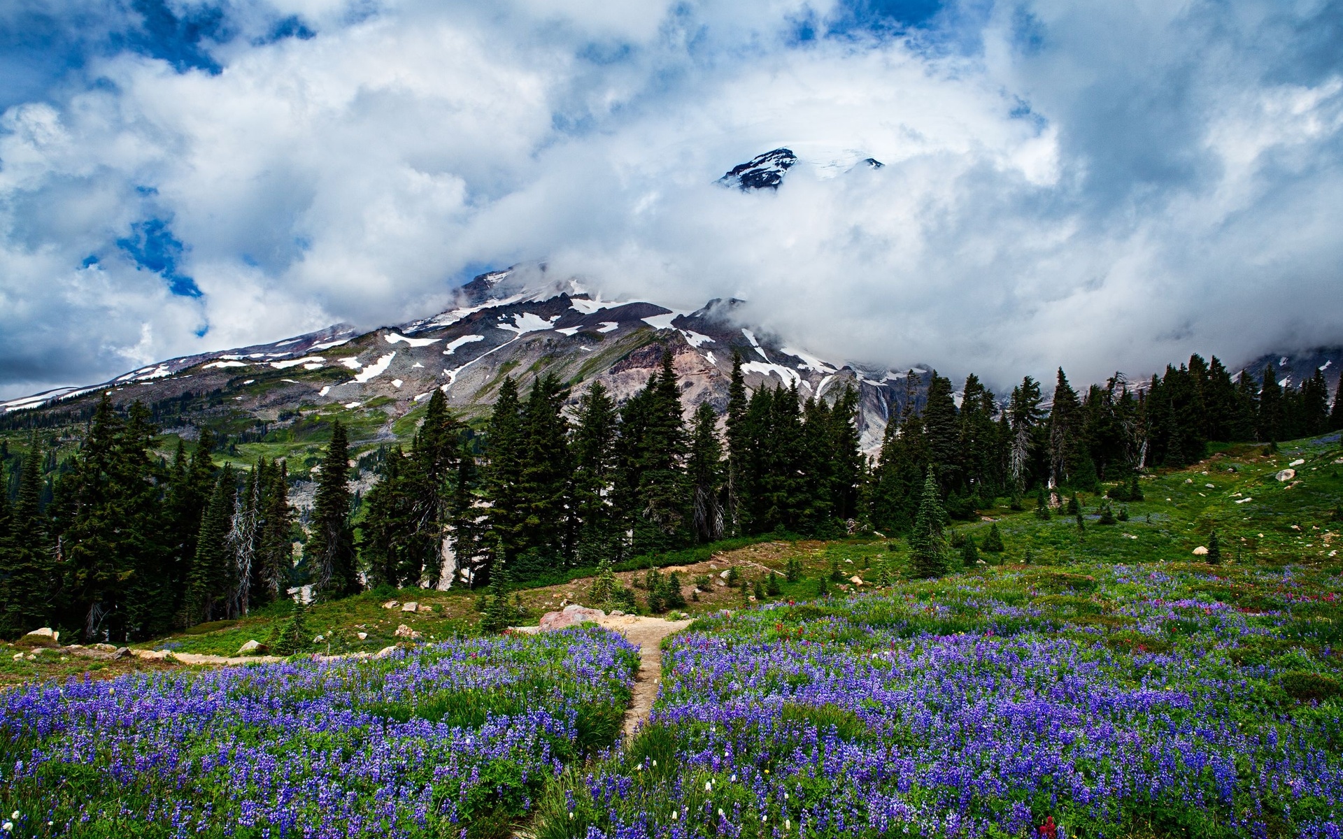 Wallpapers mountains nature glade on the desktop