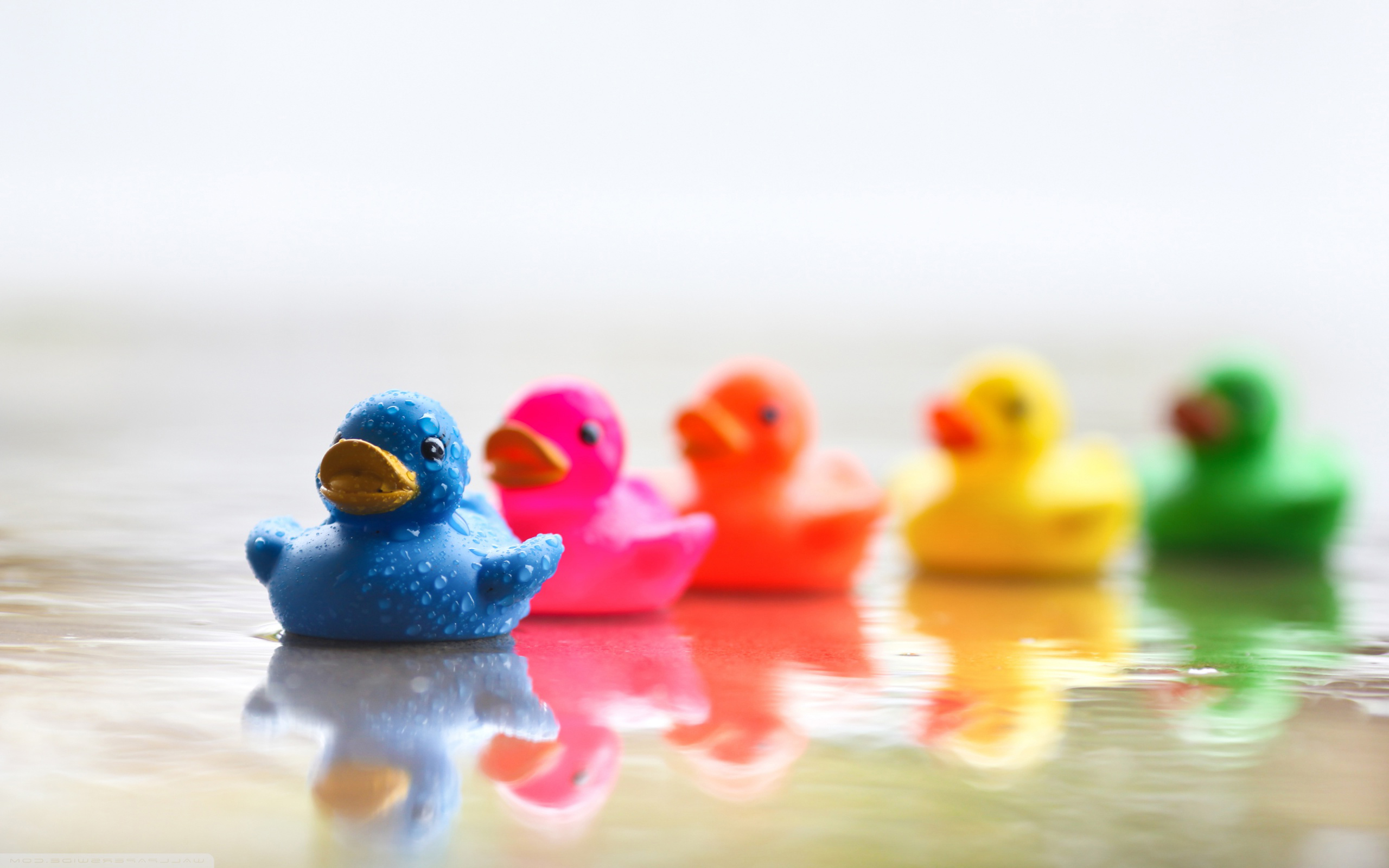 Free photo Colorful rubber duckies floating on the water