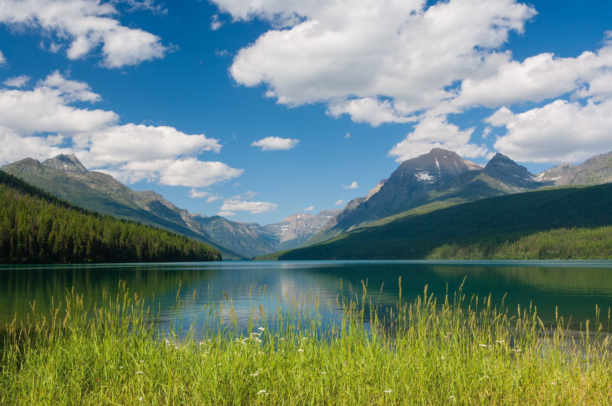 Wallpapers mountains forest blue on the desktop