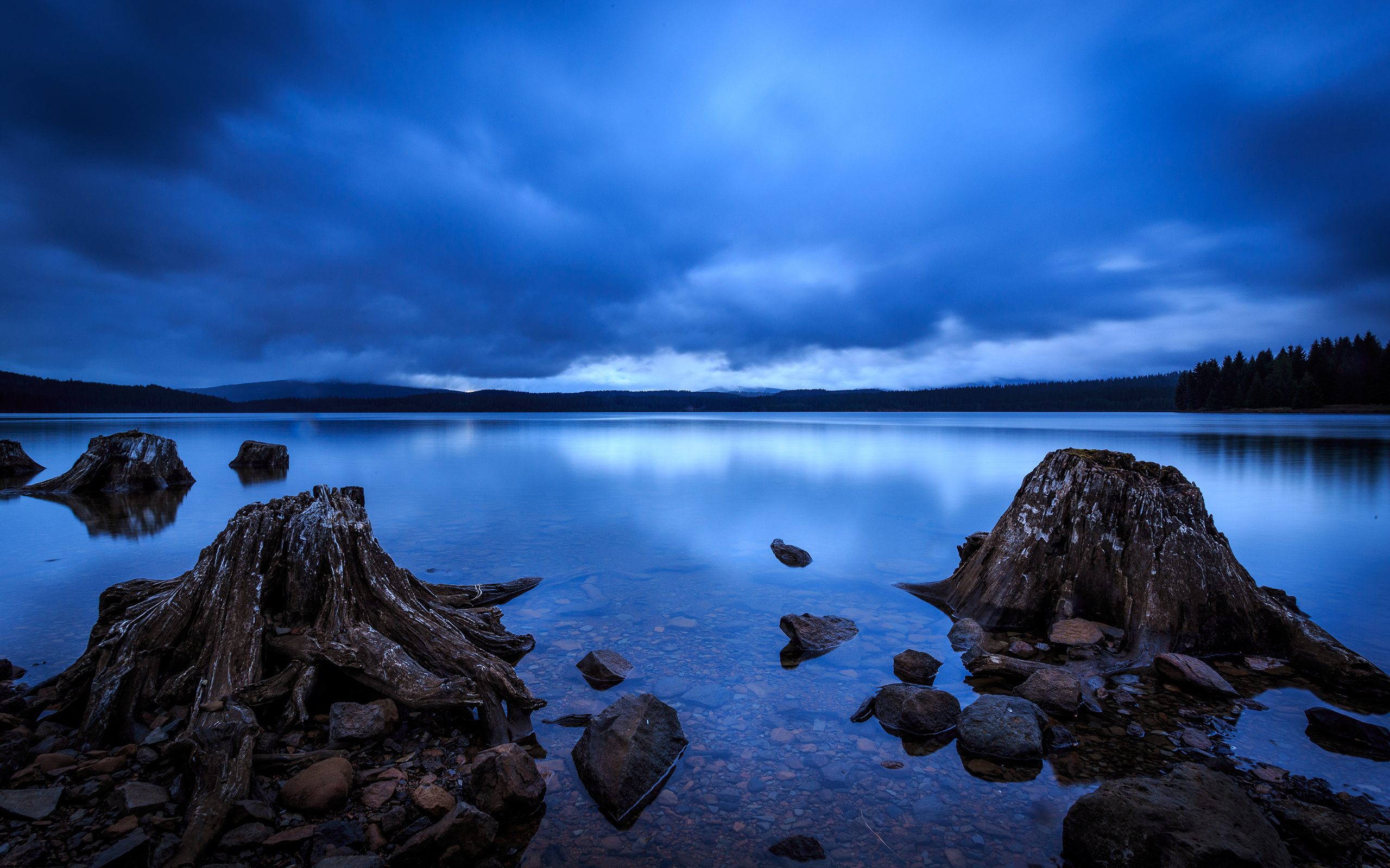 Wallpapers chilled stumps river bay clouds on the desktop