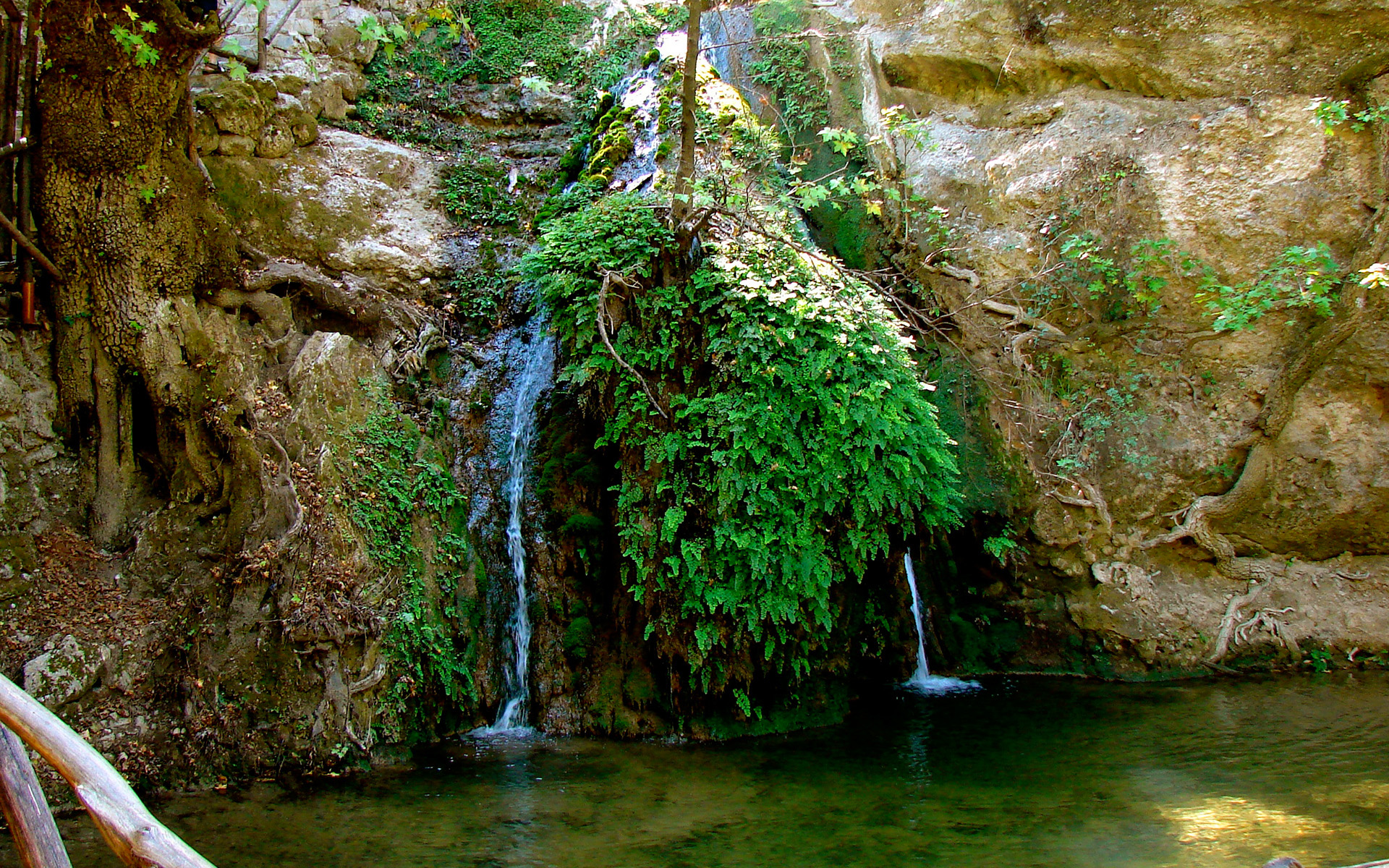 Free photo Download photo water, river, lake