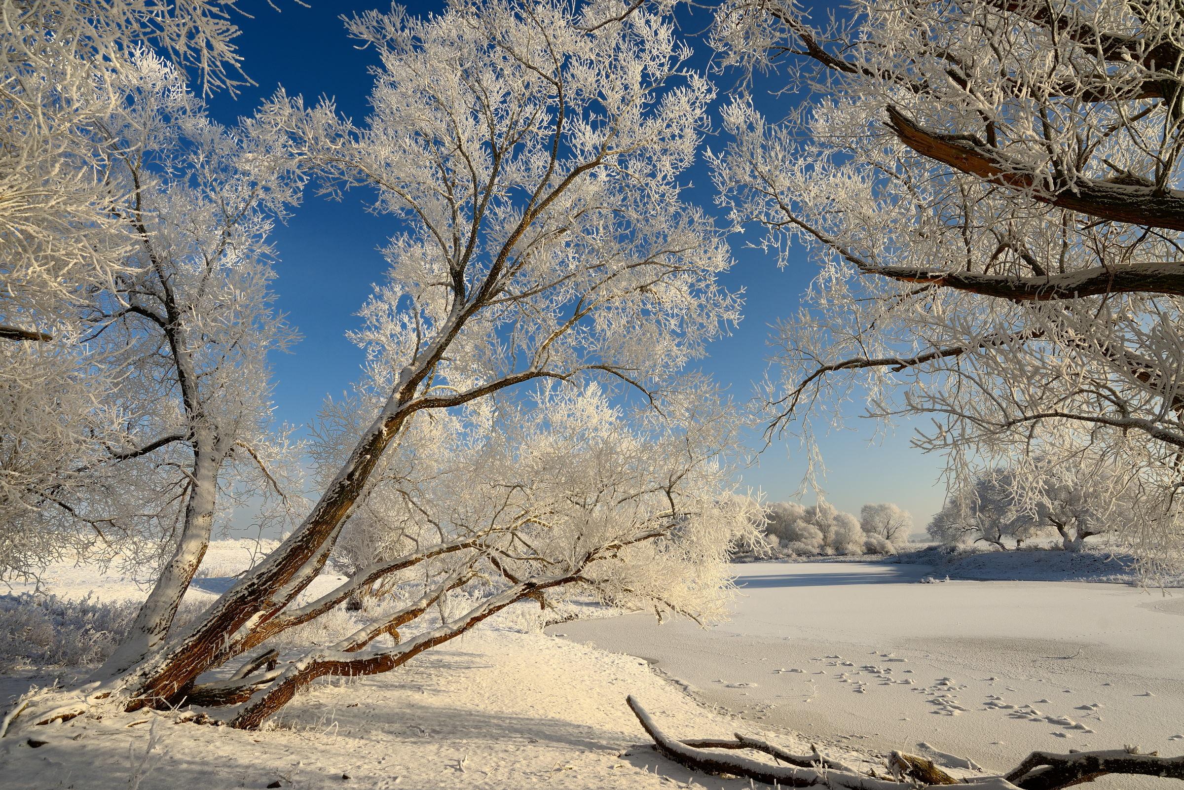 Wallpapers landscape frozen lake winter on the desktop