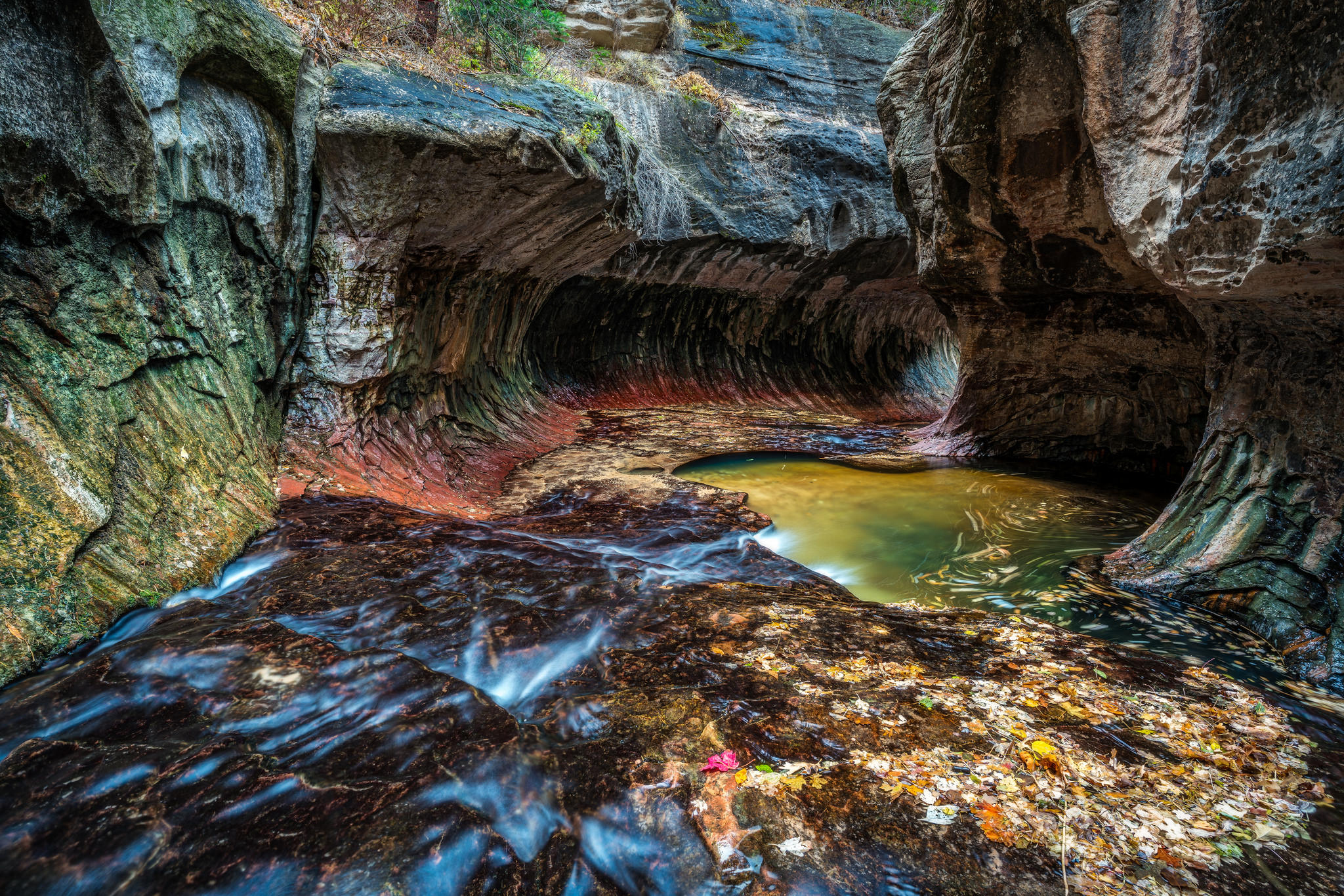 Обои Zion National Park речка горы на рабочий стол