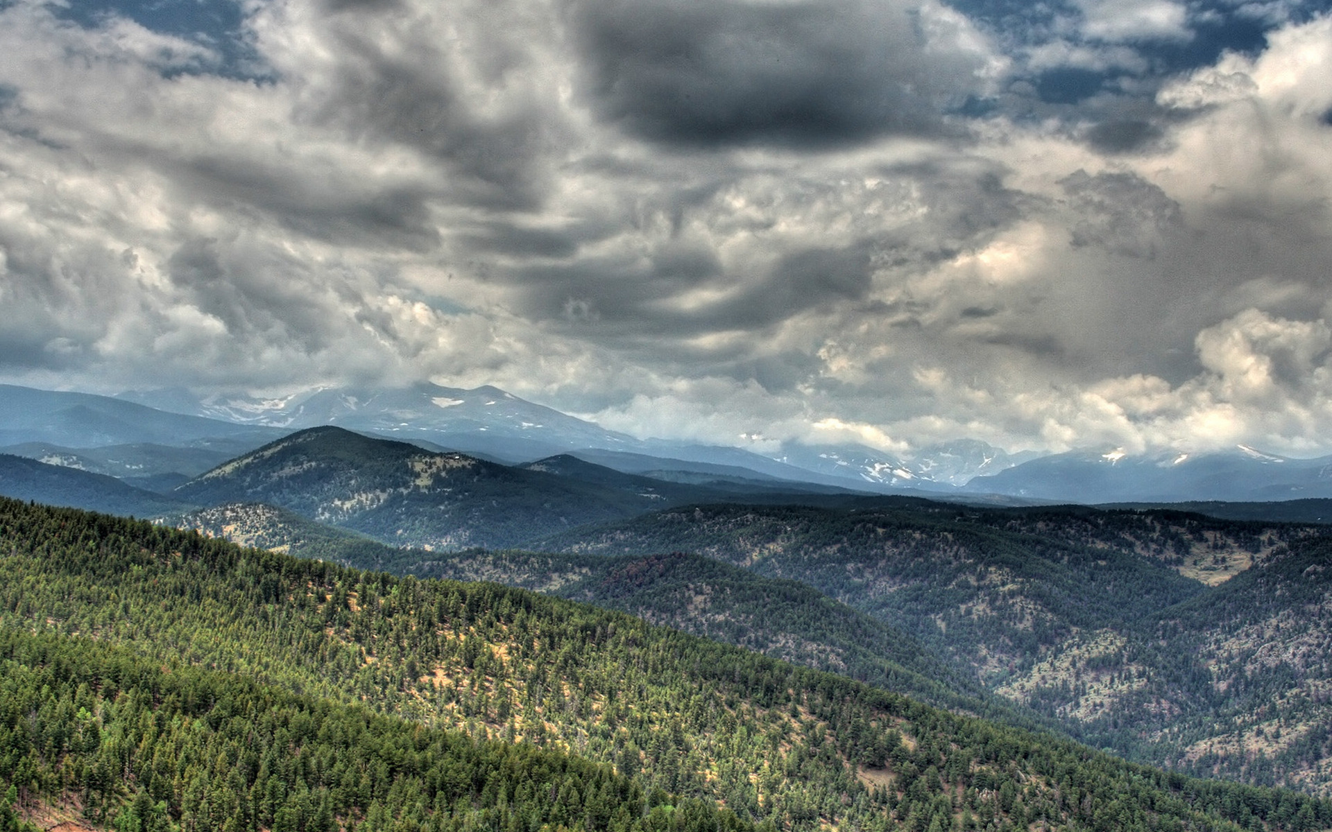 Wallpapers mountains vegetation trees on the desktop