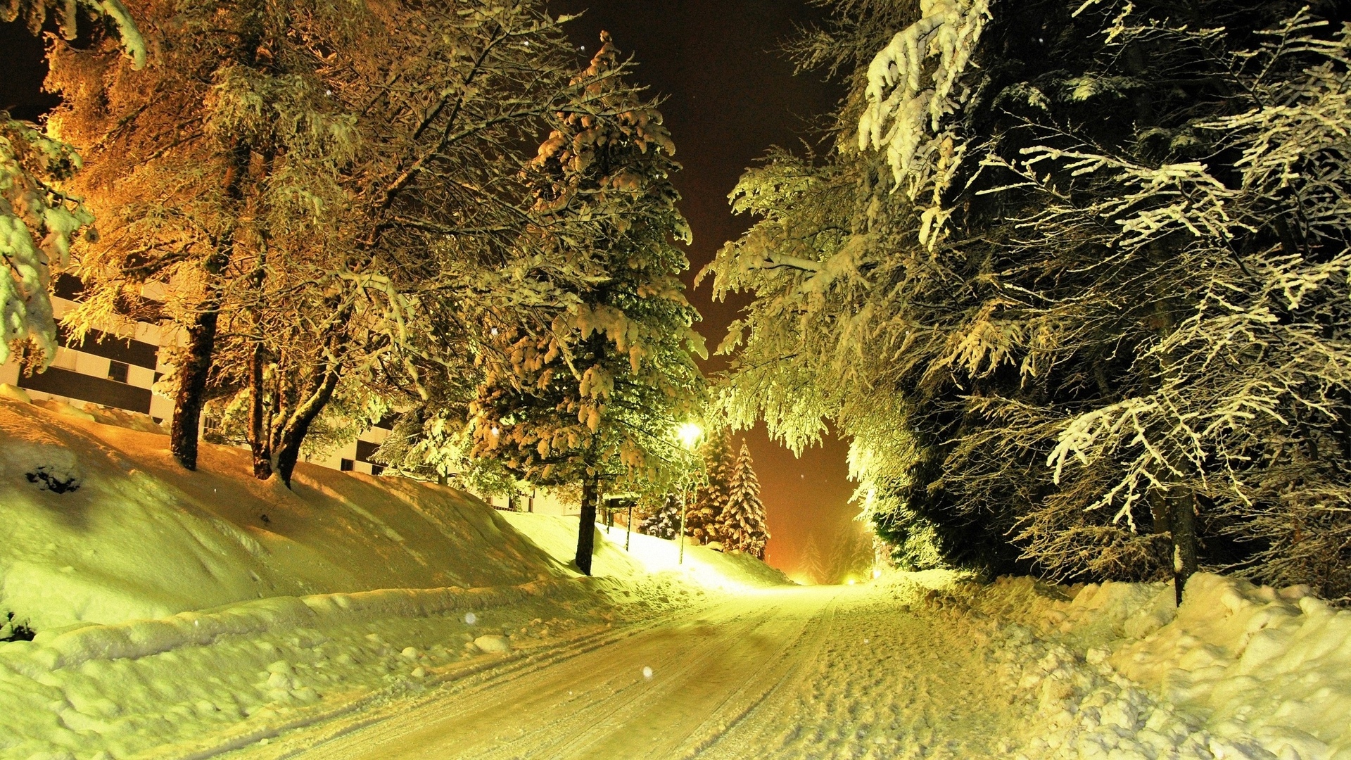 Wallpapers road trees night on the desktop