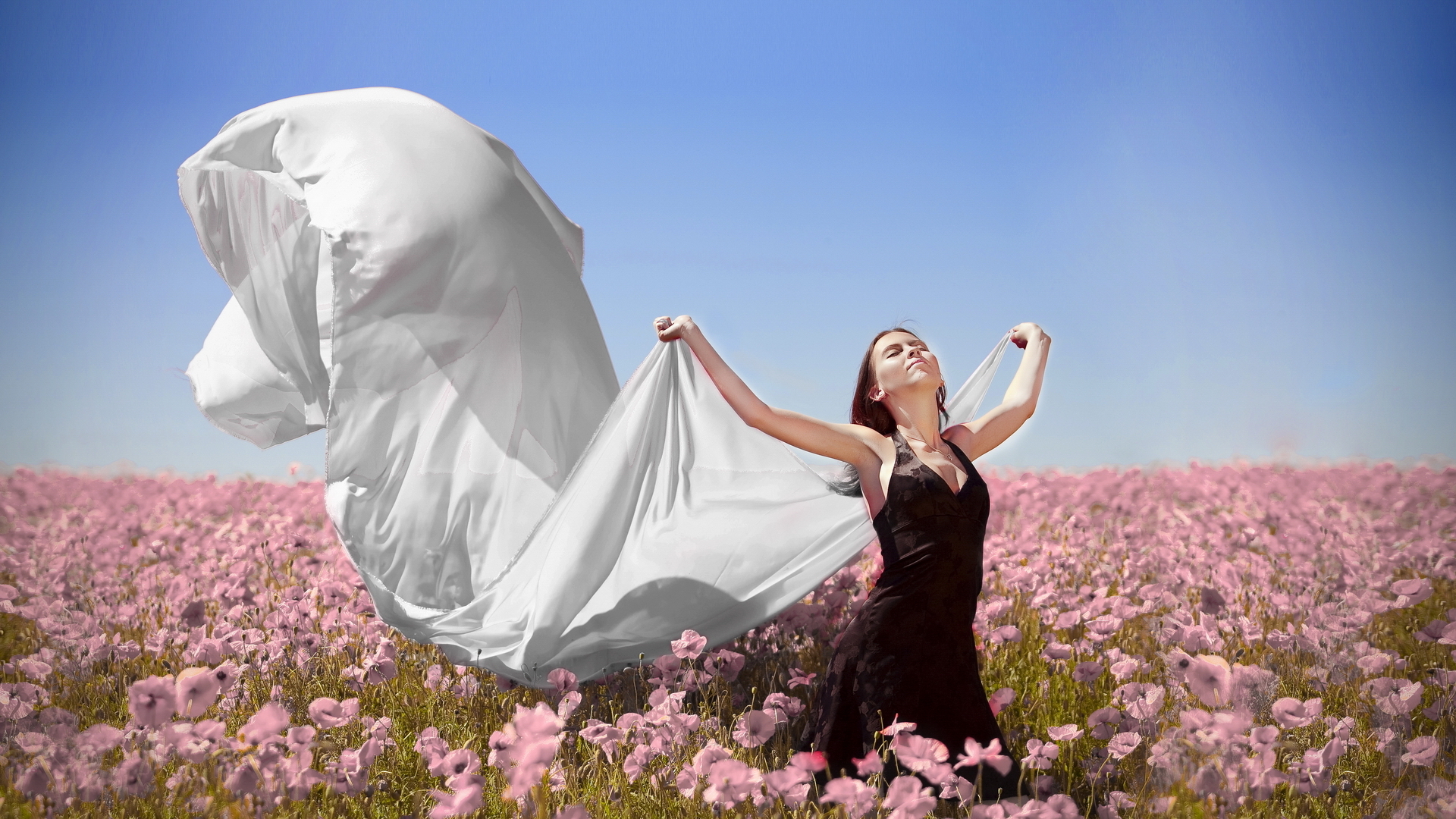 Free photo Beautiful girl in black dress poses in a big field with pink flowers