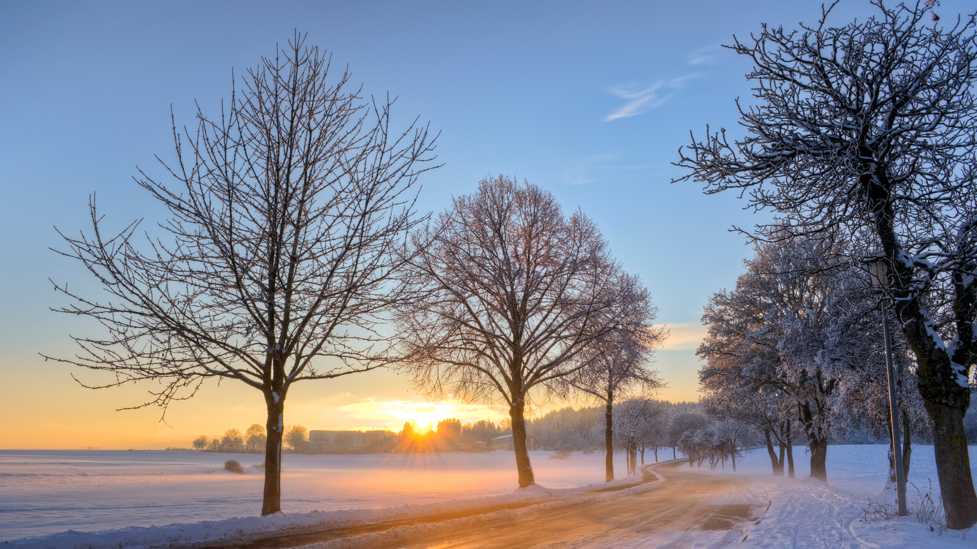 Wallpapers sun hoarfrost trees on the desktop